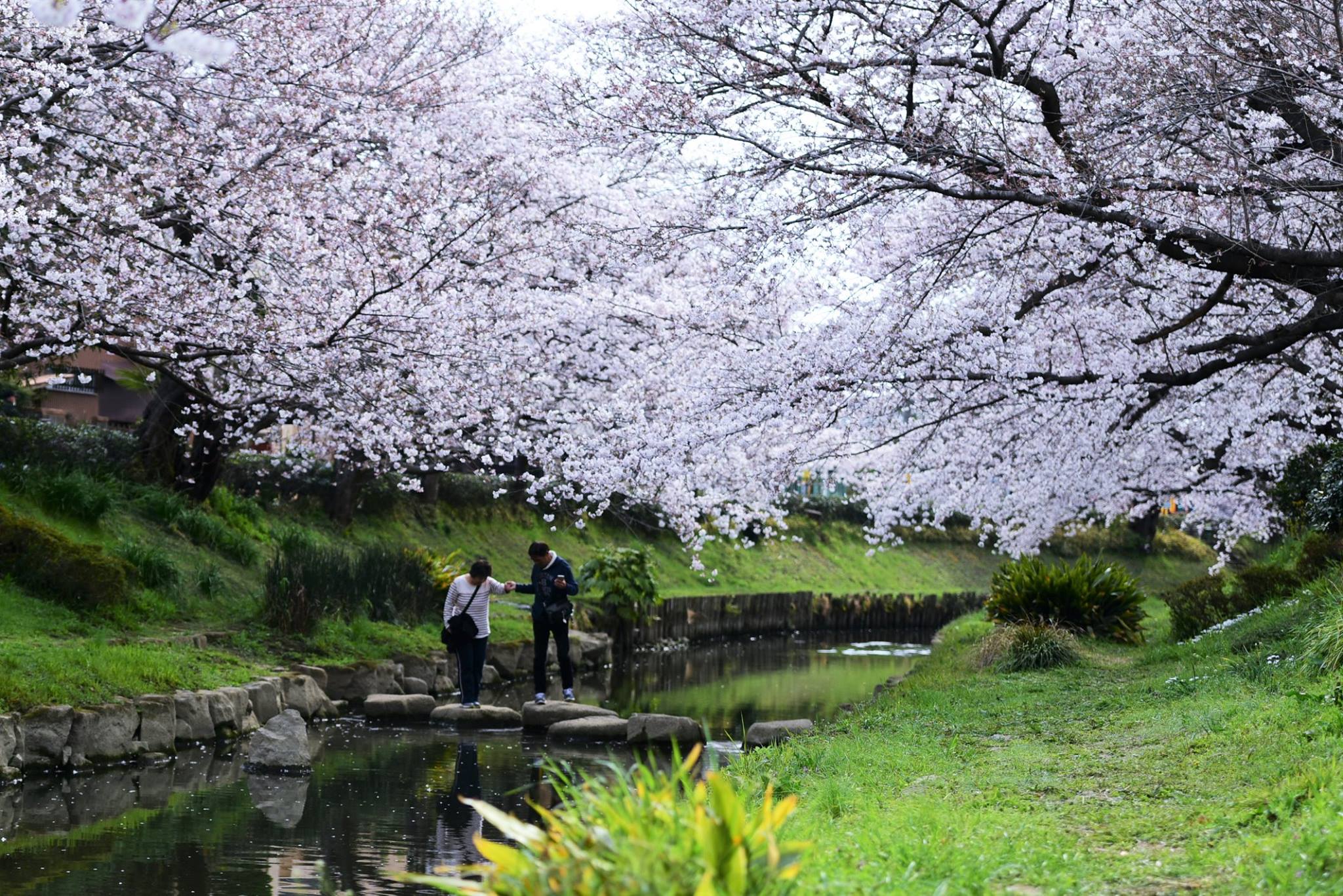 20507867_1833413790320944_38482129802597073_o