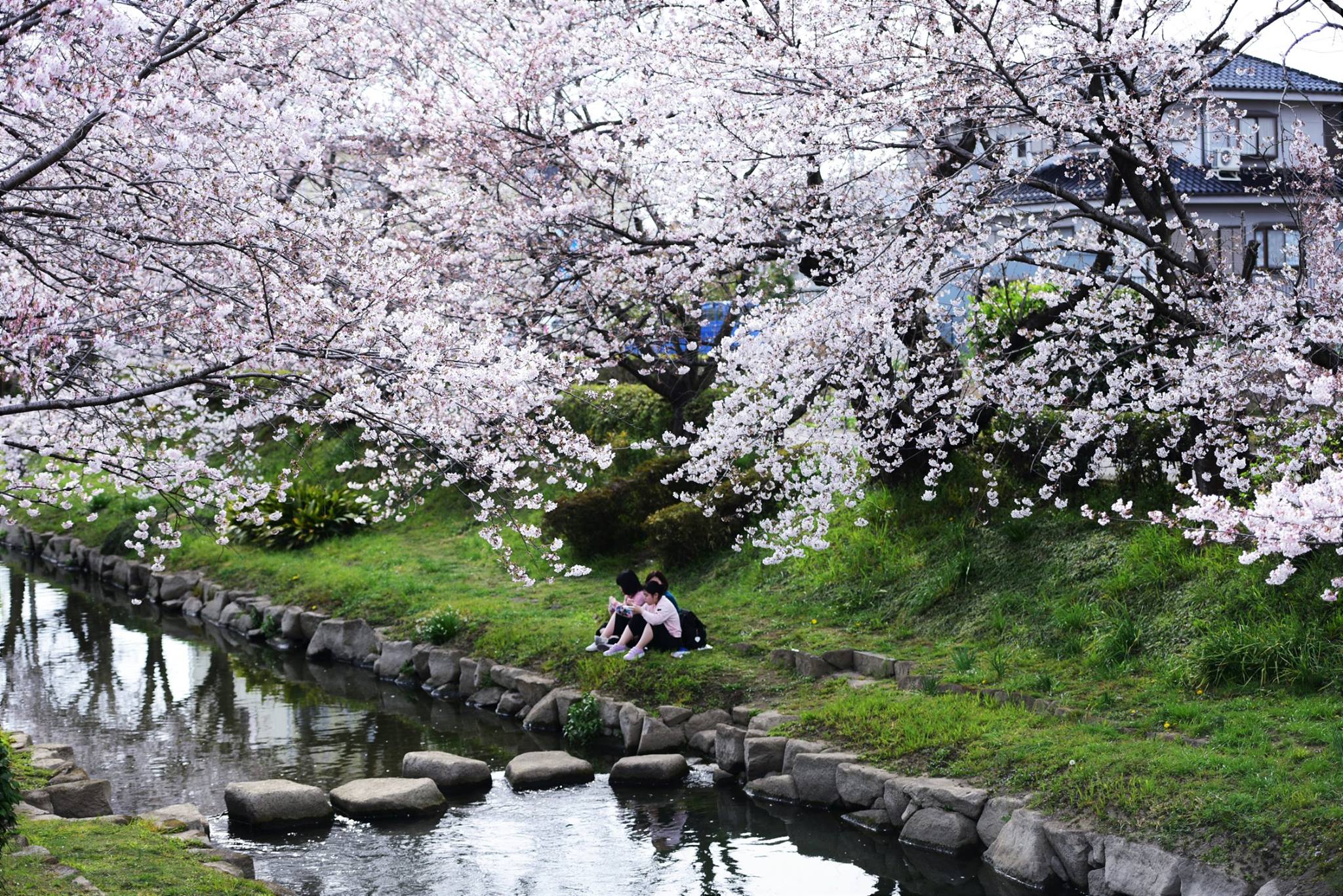 20543599_1833413653654291_3871956582997301852_o