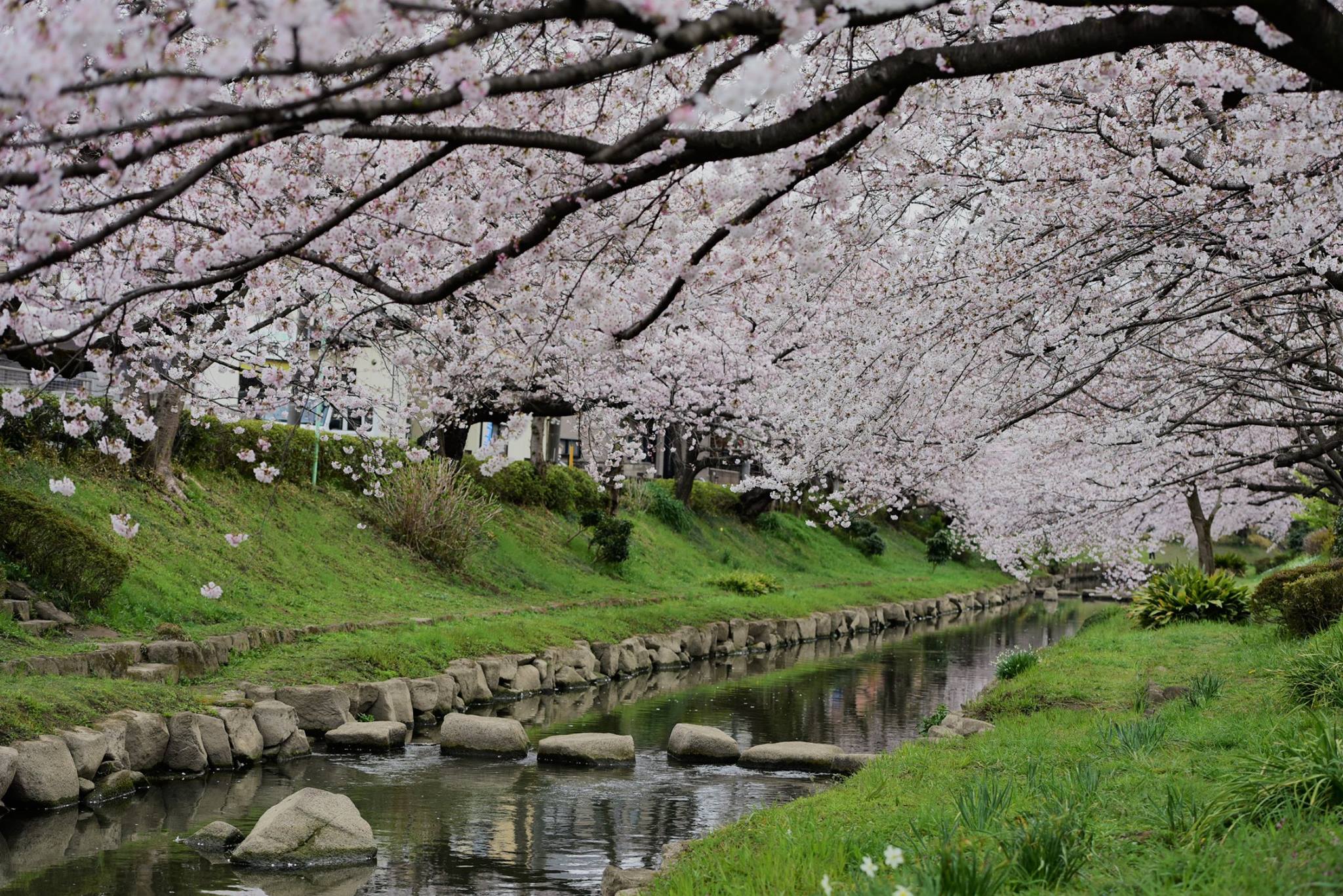 20543691_1833414003654256_5275402436052590432_o