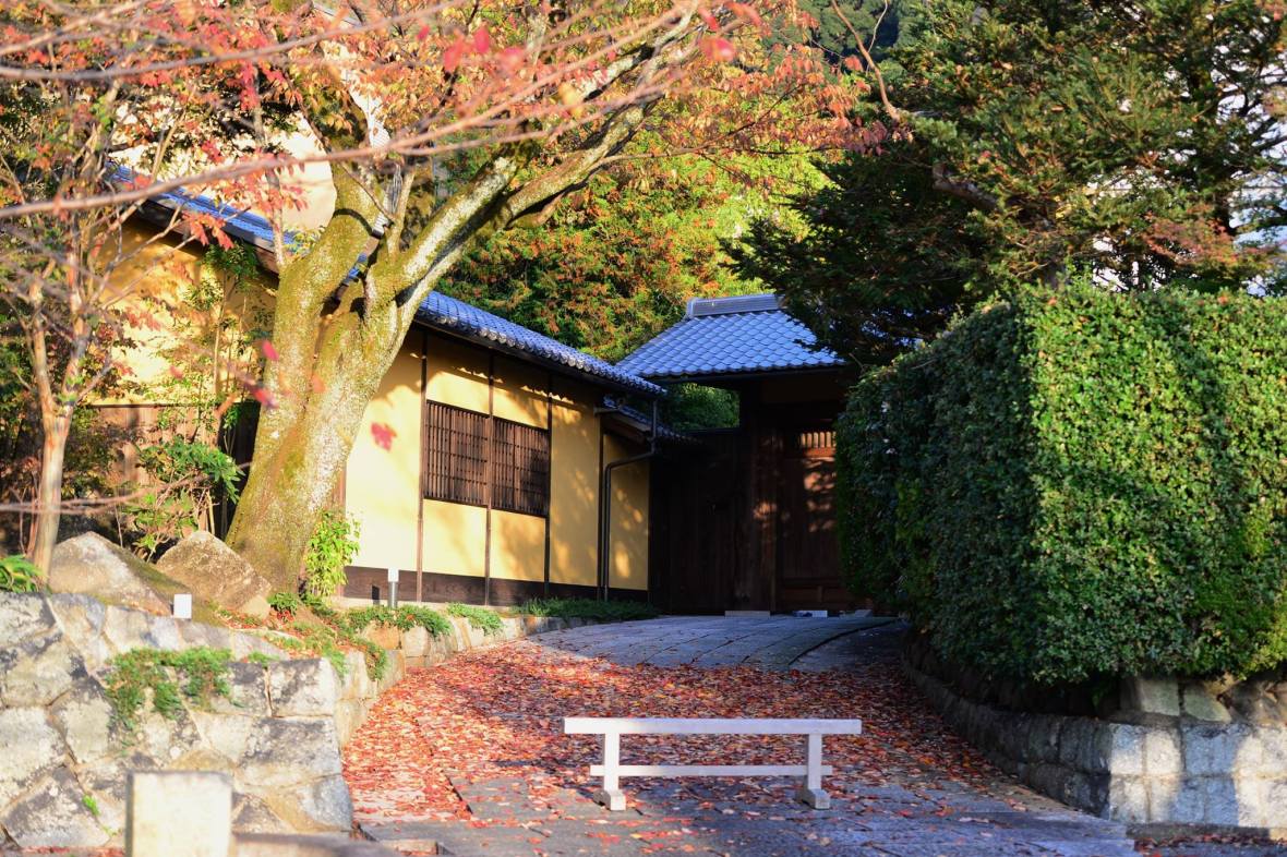 20543778_1833867163608940_1905452651861010742_o