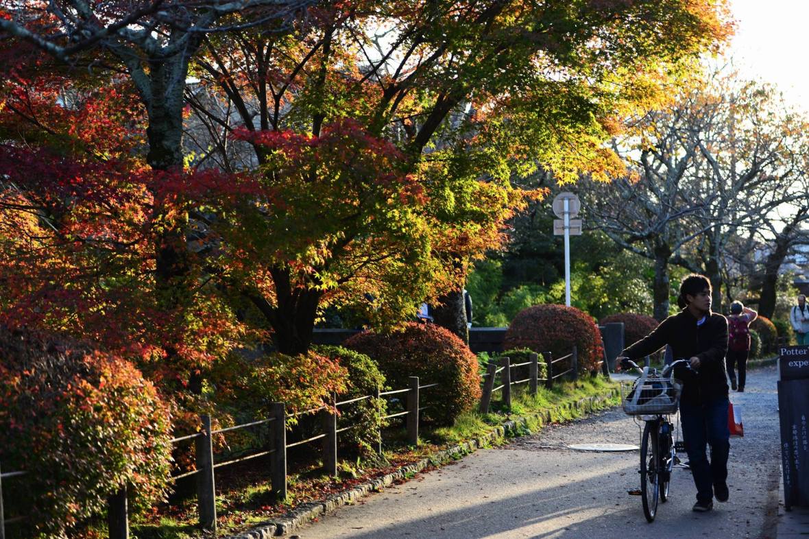 20543928_1833867653608891_5234907378026080061_o