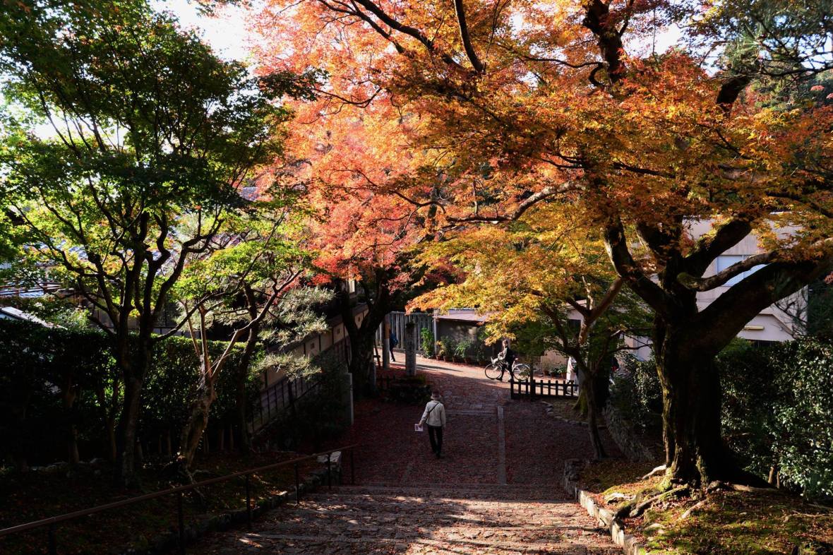 20543988_1833866520275671_3665044629629803640_o