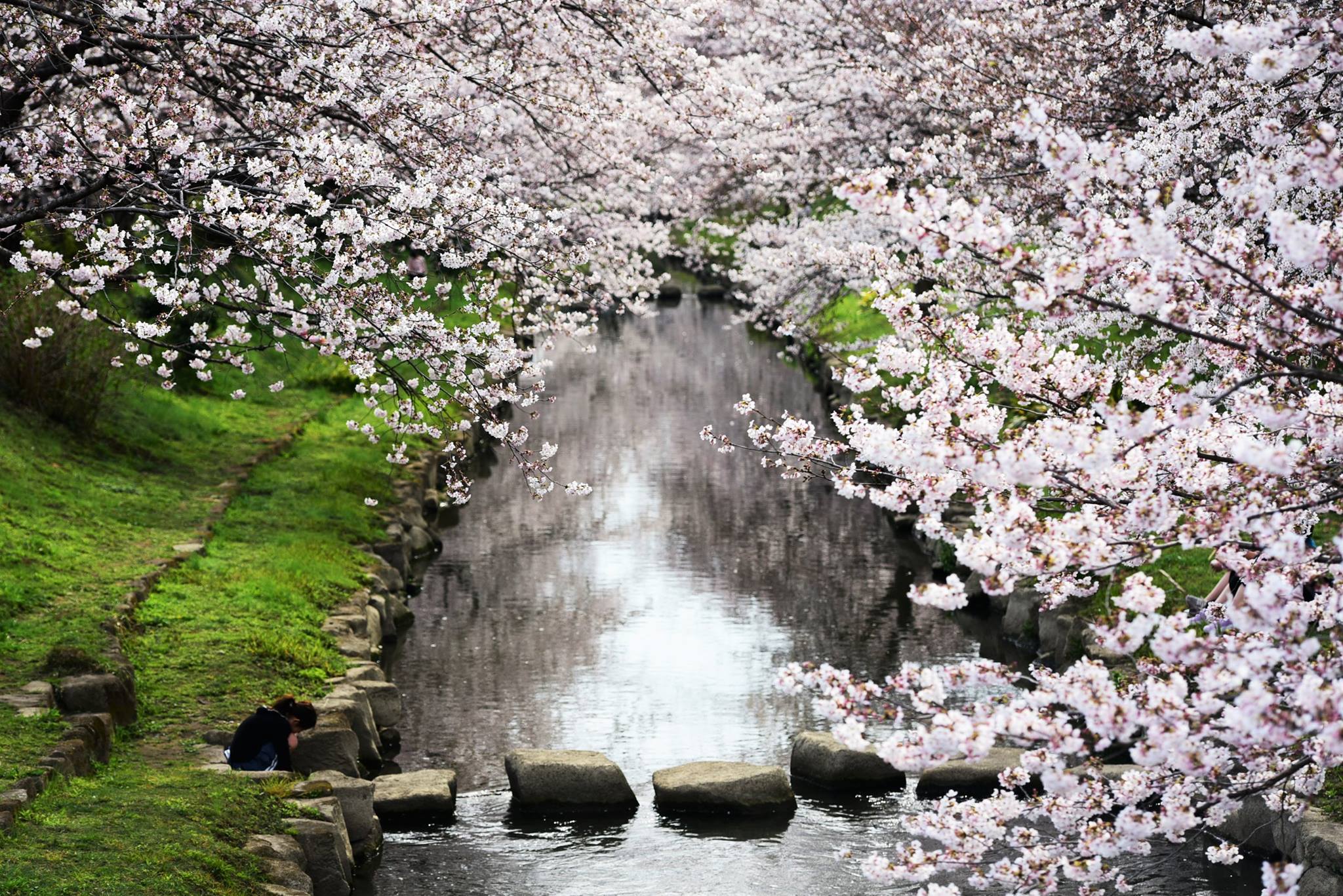 20545166_1833413720320951_6251101996239571258_o