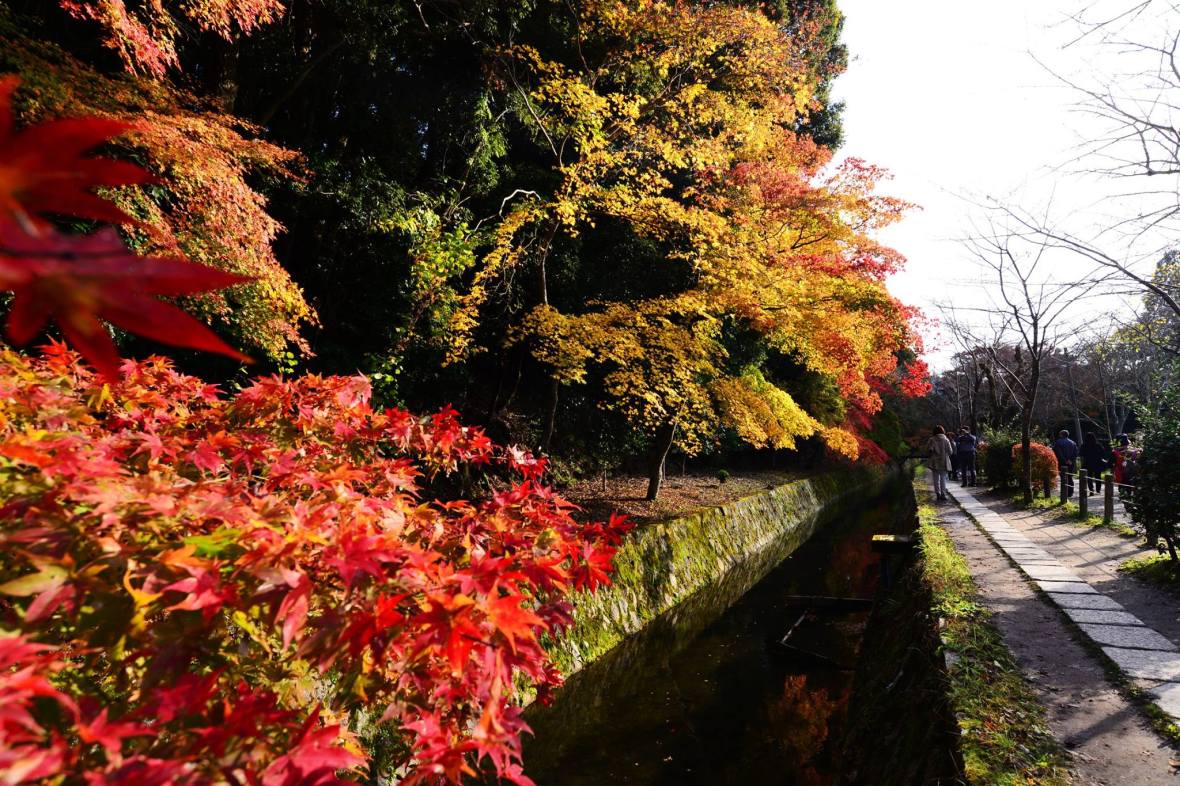 20545439_1833866386942351_7188968514423510364_o