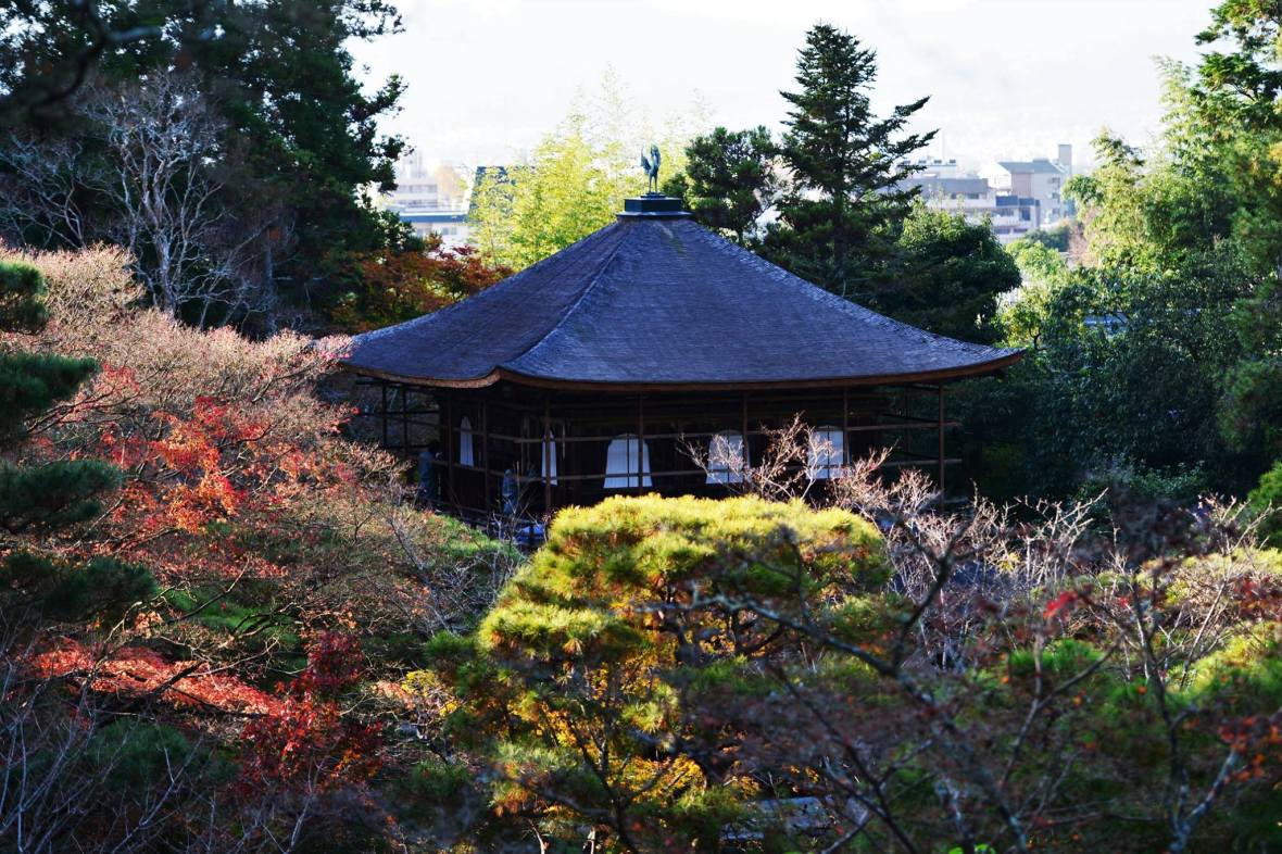 20615621_1833866650275658_6065456474558657973_o