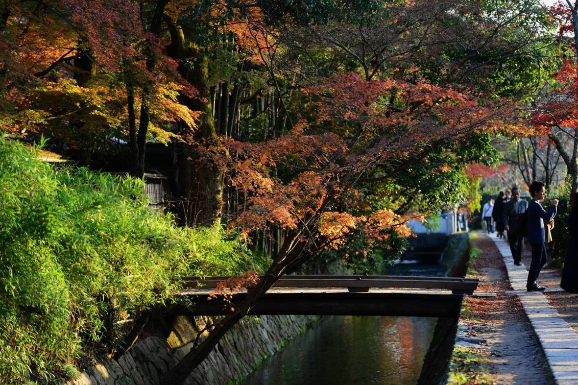 20616901_1833867426942247_1973502416143478157_o