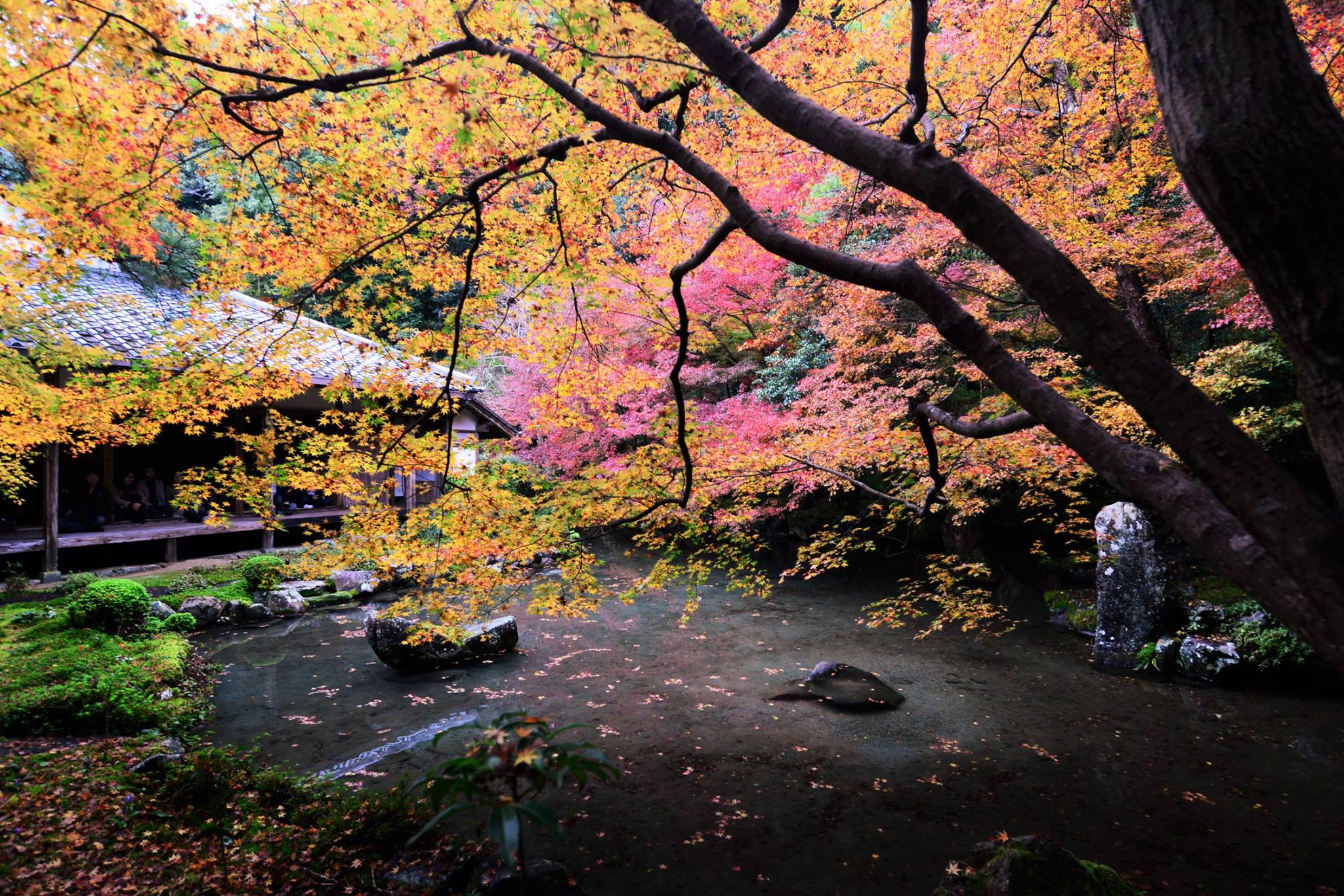 20785763_1840290332966623_7439985605687722756_o