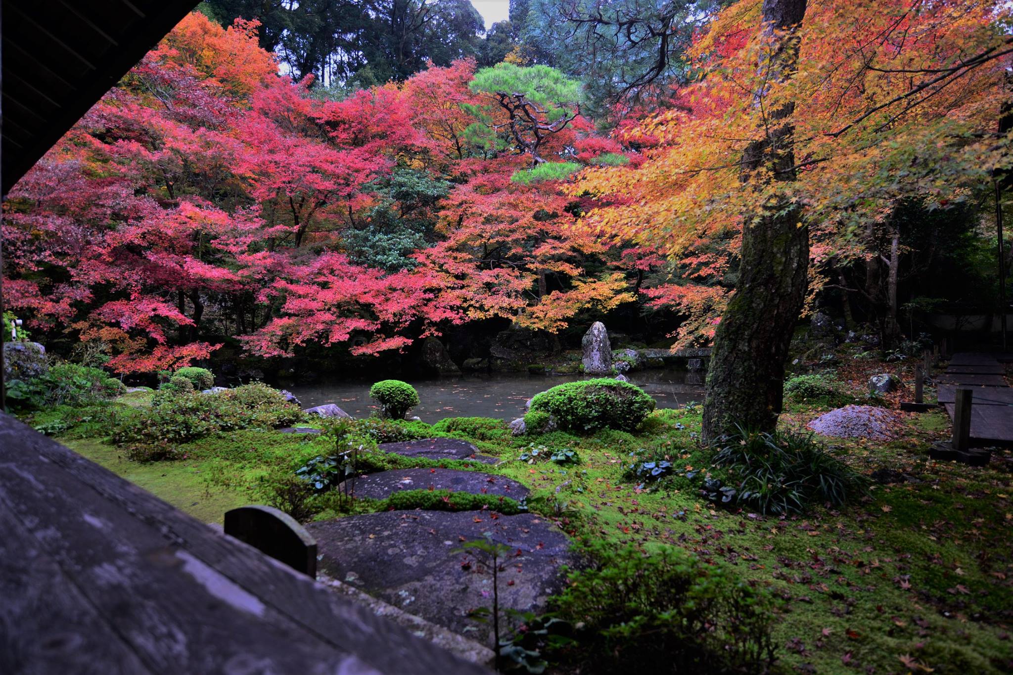 20785779_1840290509633272_3938349174294441468_o