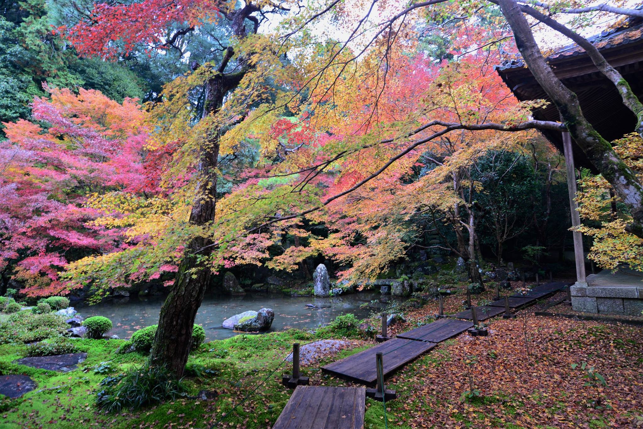 20785939_1840290289633294_3982604767790204670_o