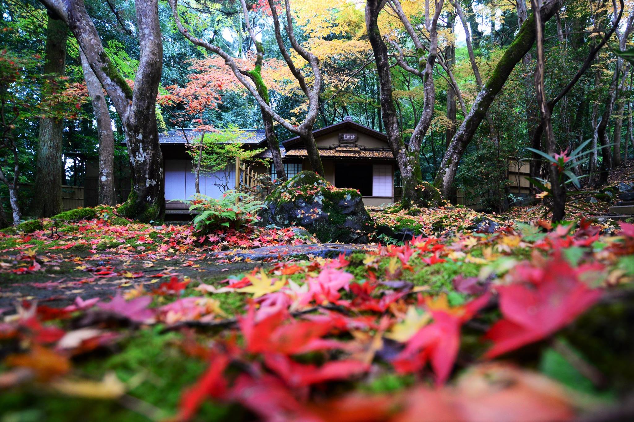 20818835_1840290552966601_9187009142573775902_o