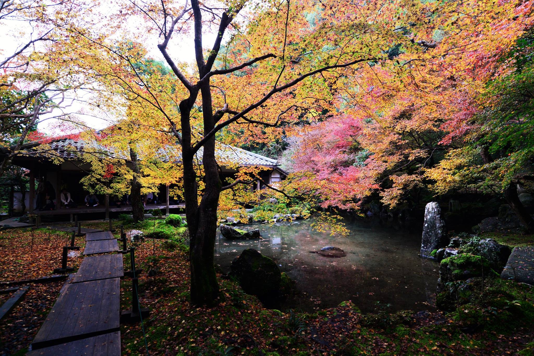 20819333_1840290392966617_4084107145122759247_o