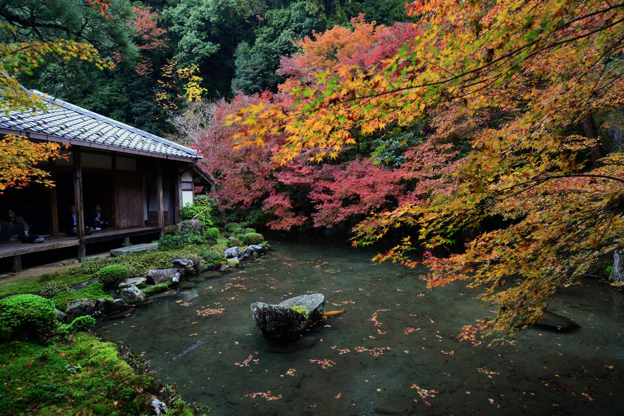 20863226_1840290296299960_5127314082444266048_o