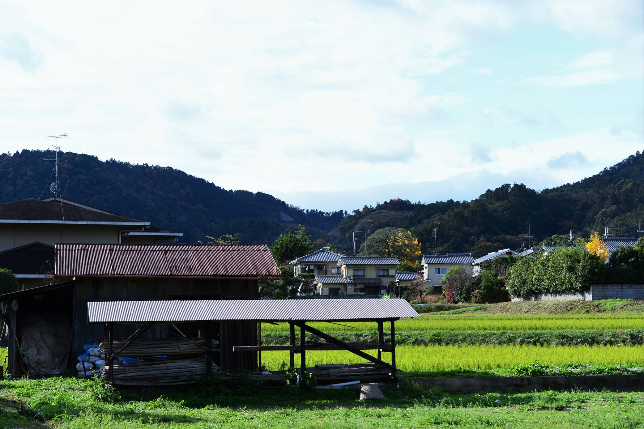 20988916_1843696032626053_7622246940678669339_o