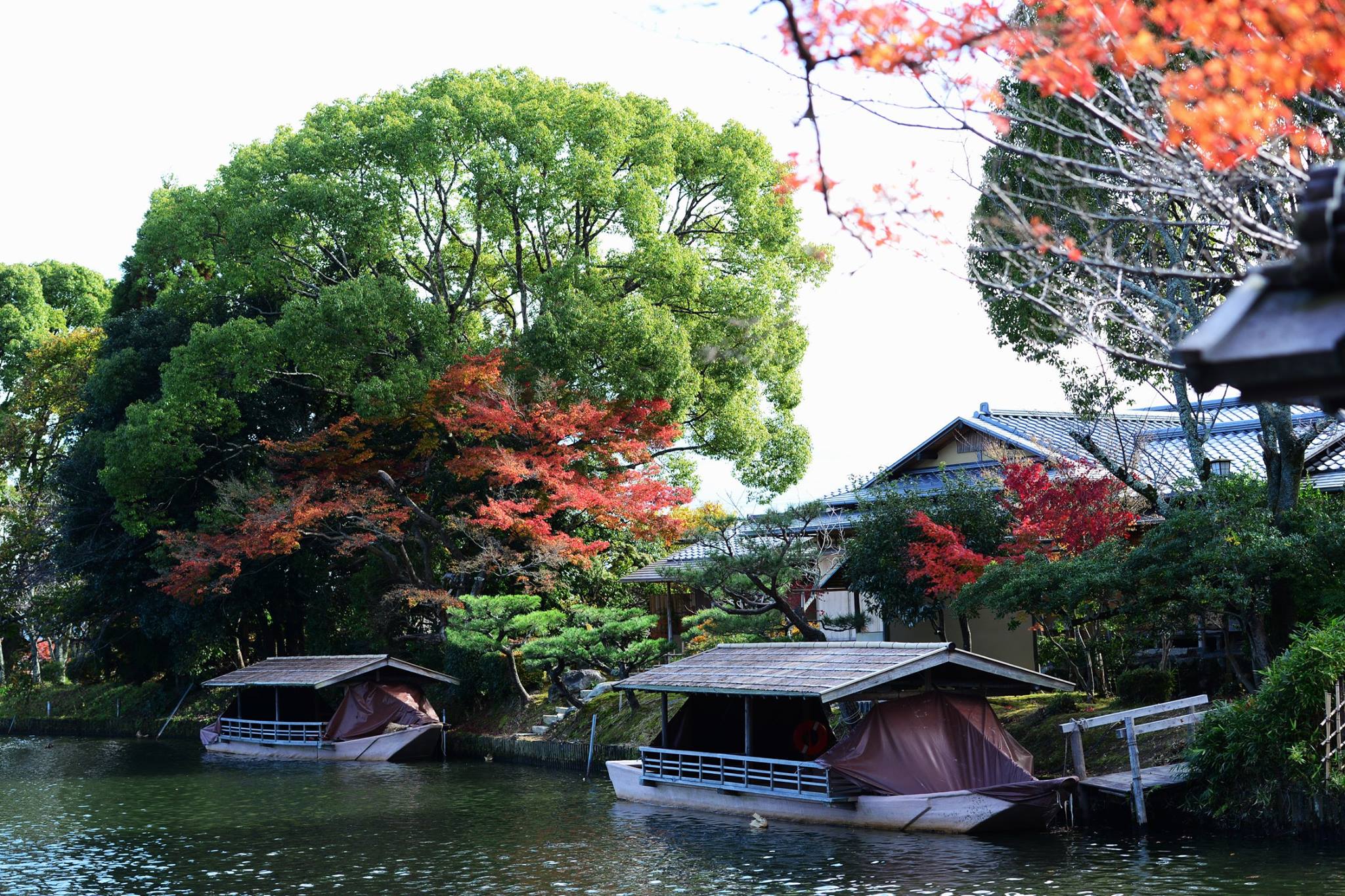 20988983_1843695565959433_1813397645092926125_o