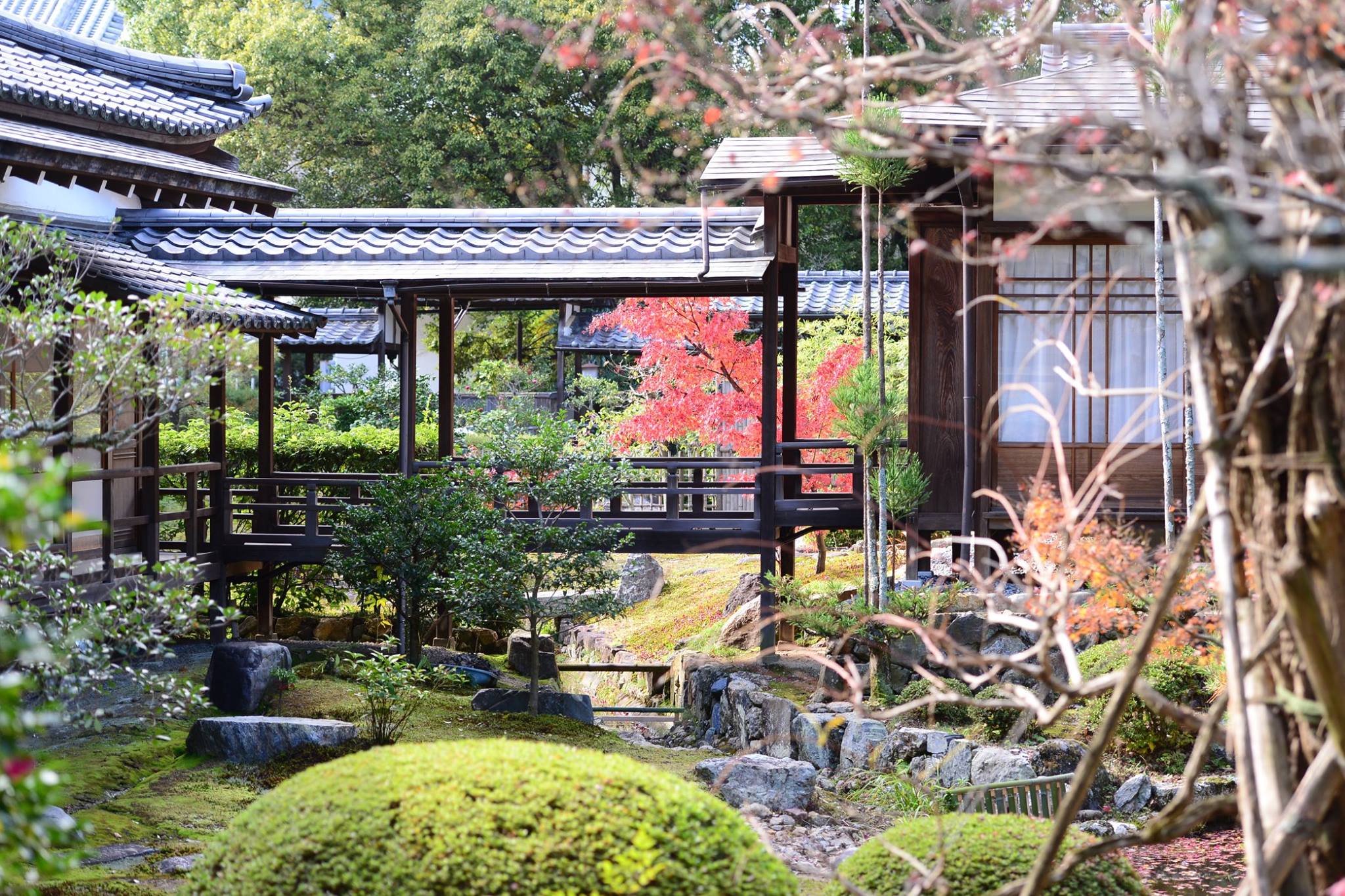 20989106_1843695429292780_6150269673767908964_o