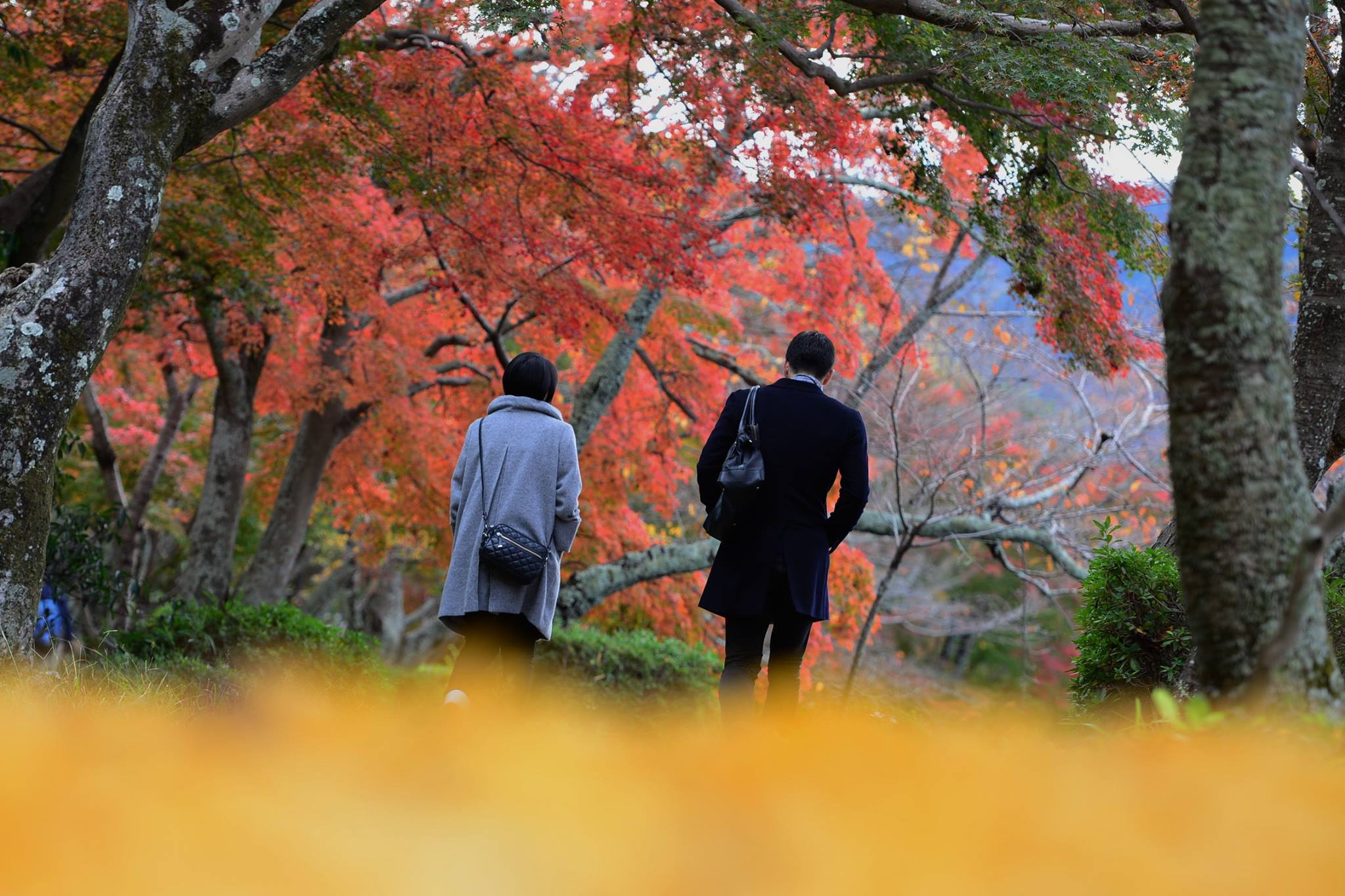 20989141_1843695792626077_6058450552518503232_o