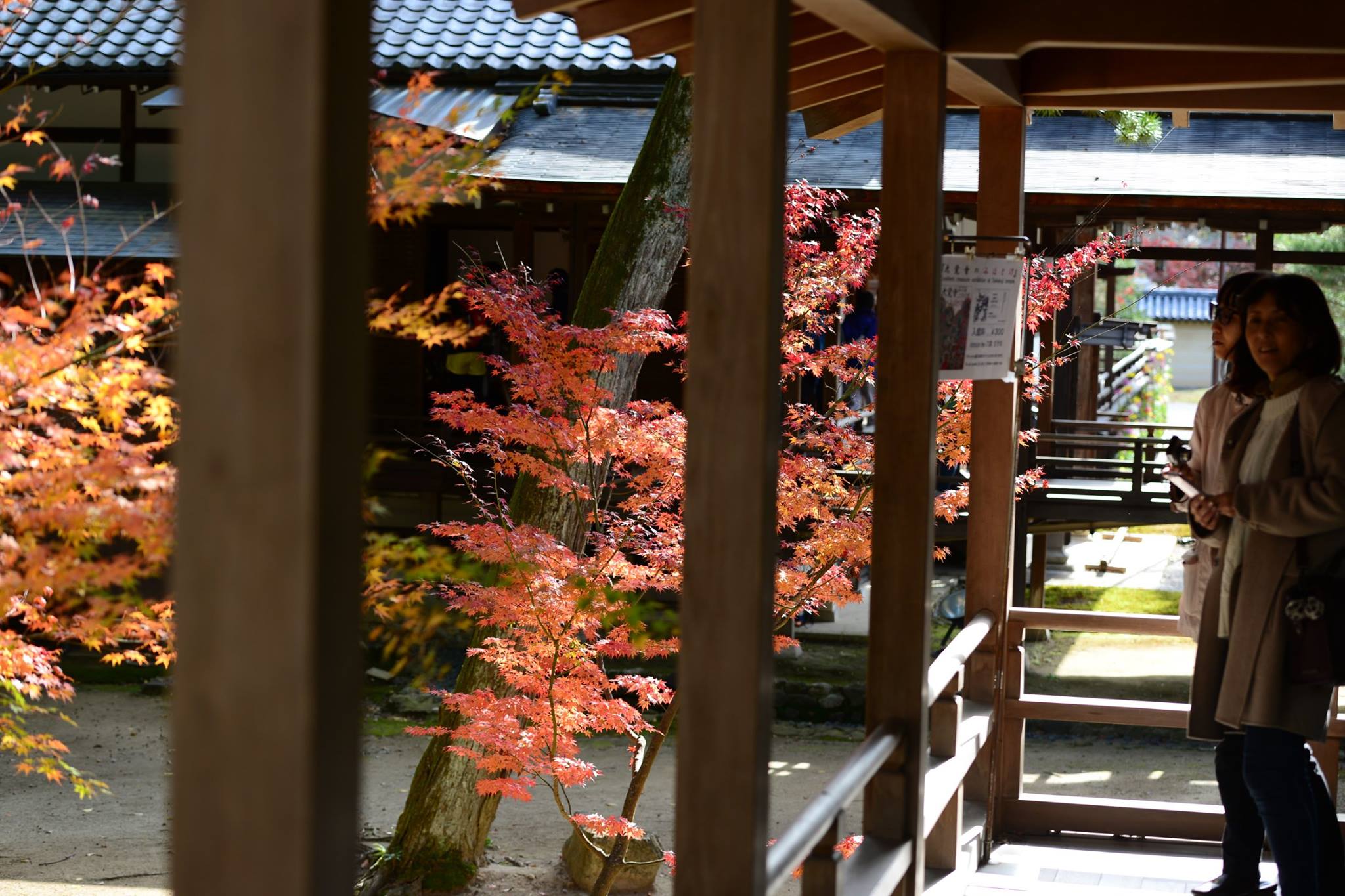 20989201_1843695235959466_8558608529711669419_o