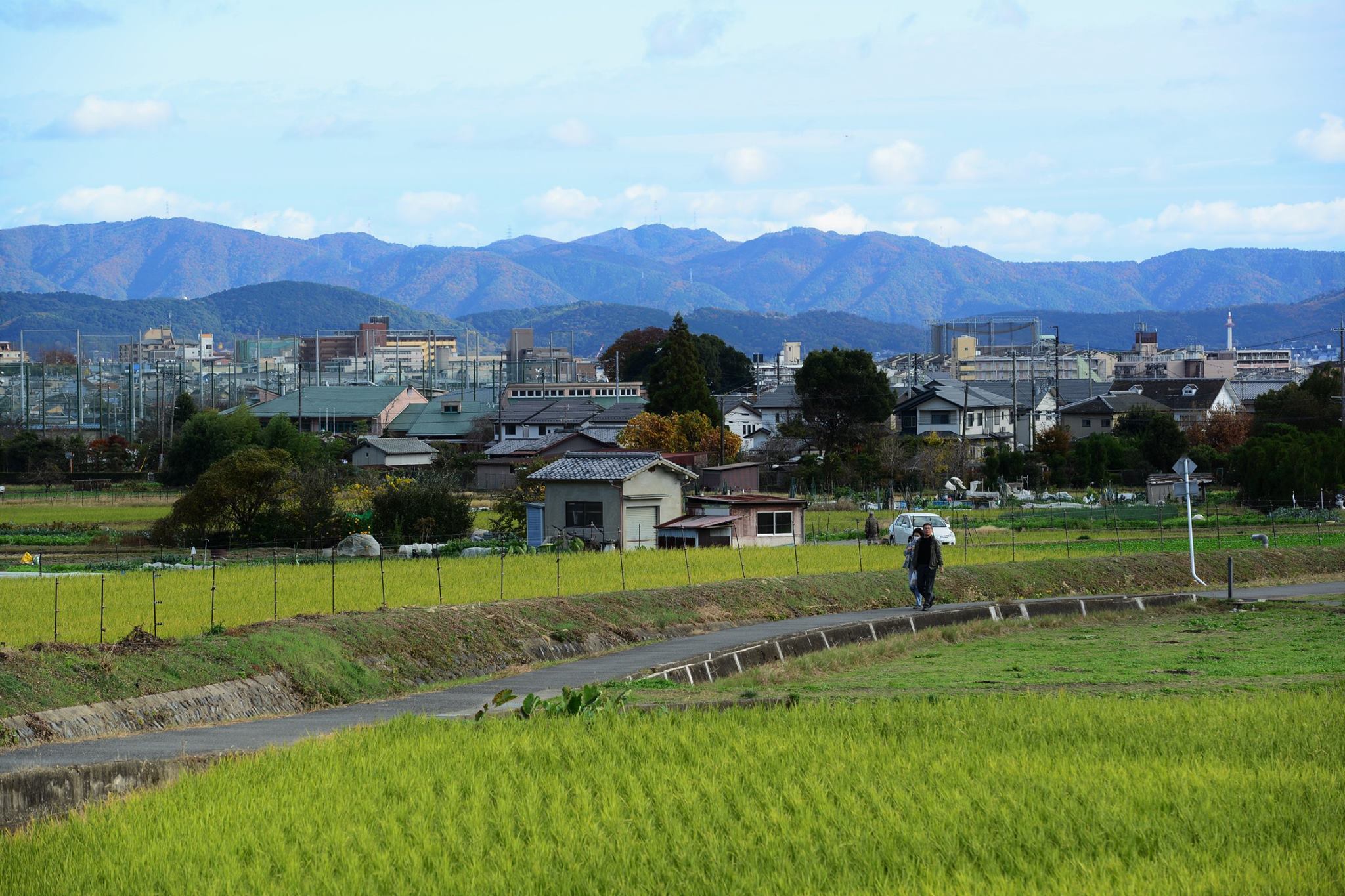 20989305_1843696105959379_1177900592726495721_o