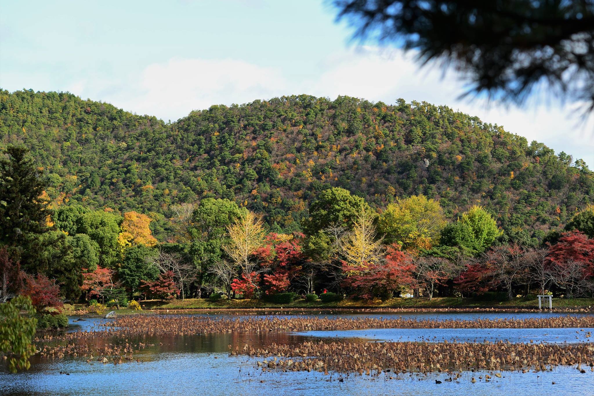 21013886_1843695399292783_5338932211032022945_o