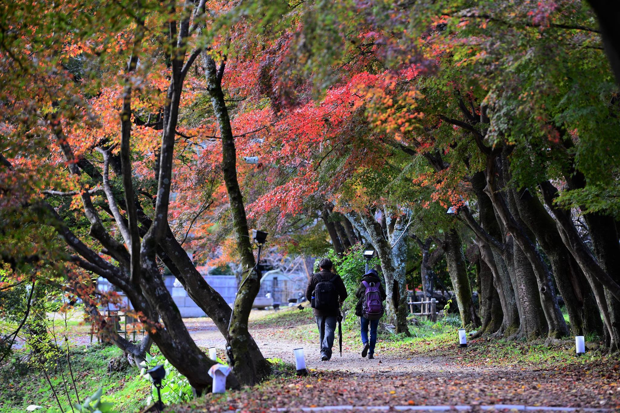 21014096_1843695622626094_5878185582816078569_o