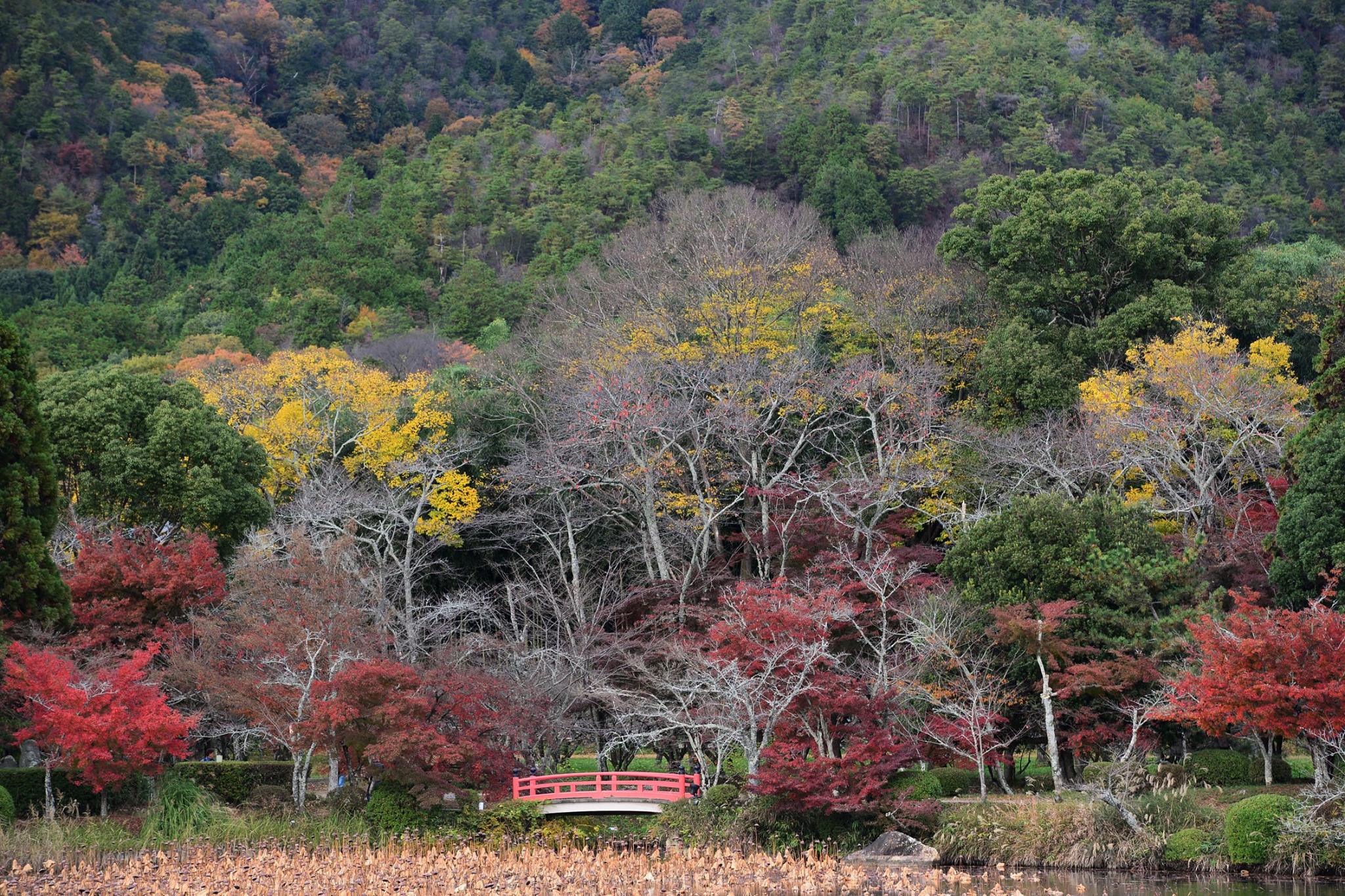 21015811_1843696009292722_5927906801799033421_o