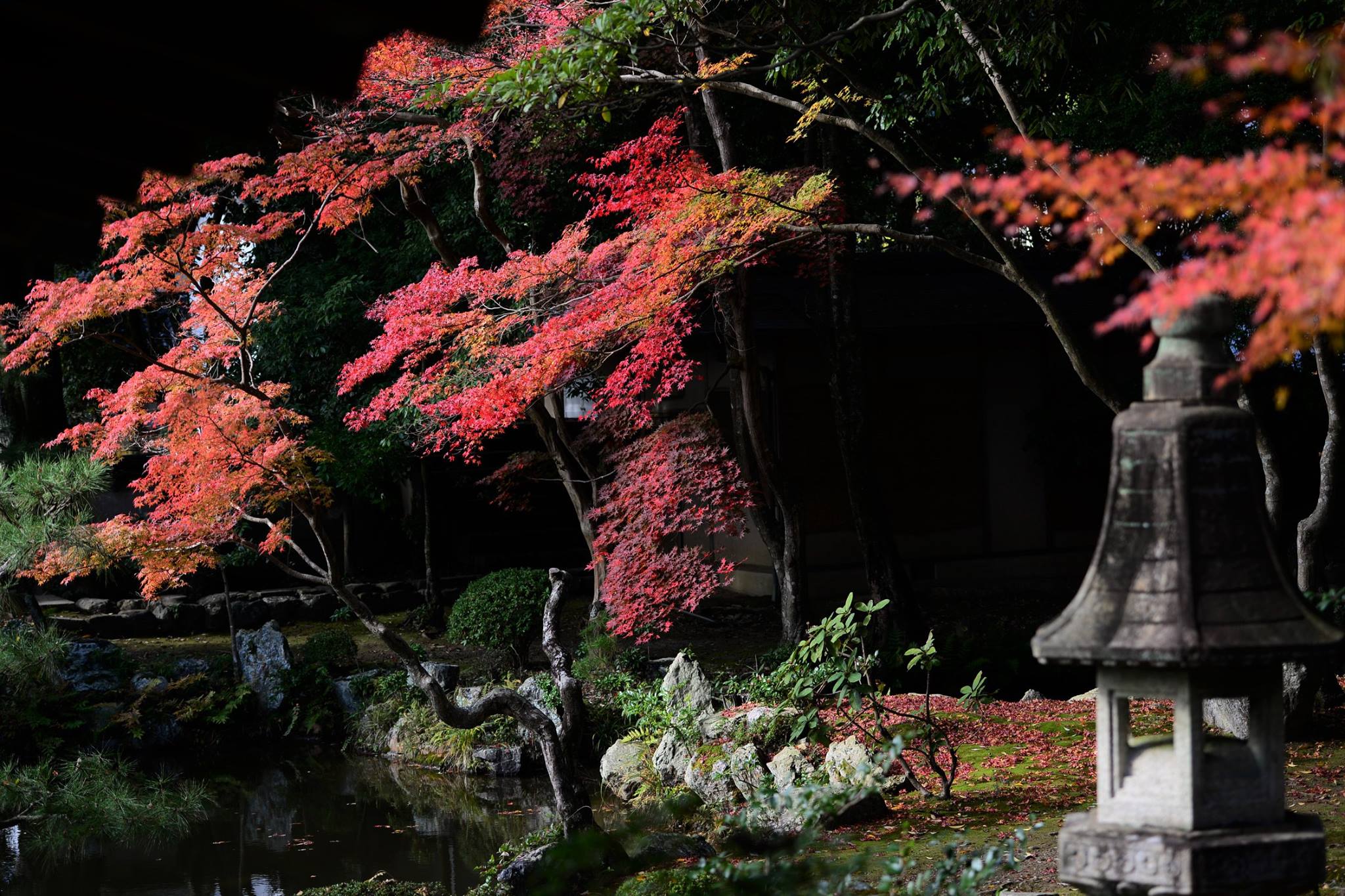 21016078_1843695475959442_2235652352028660_o