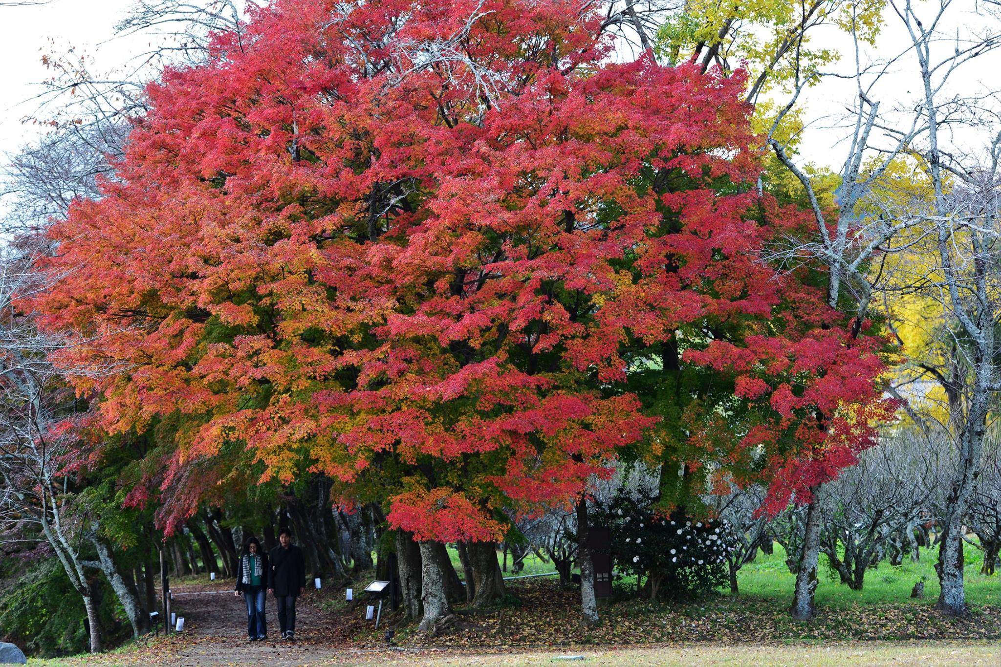 21016127_1843695665959423_6107420705481421220_o