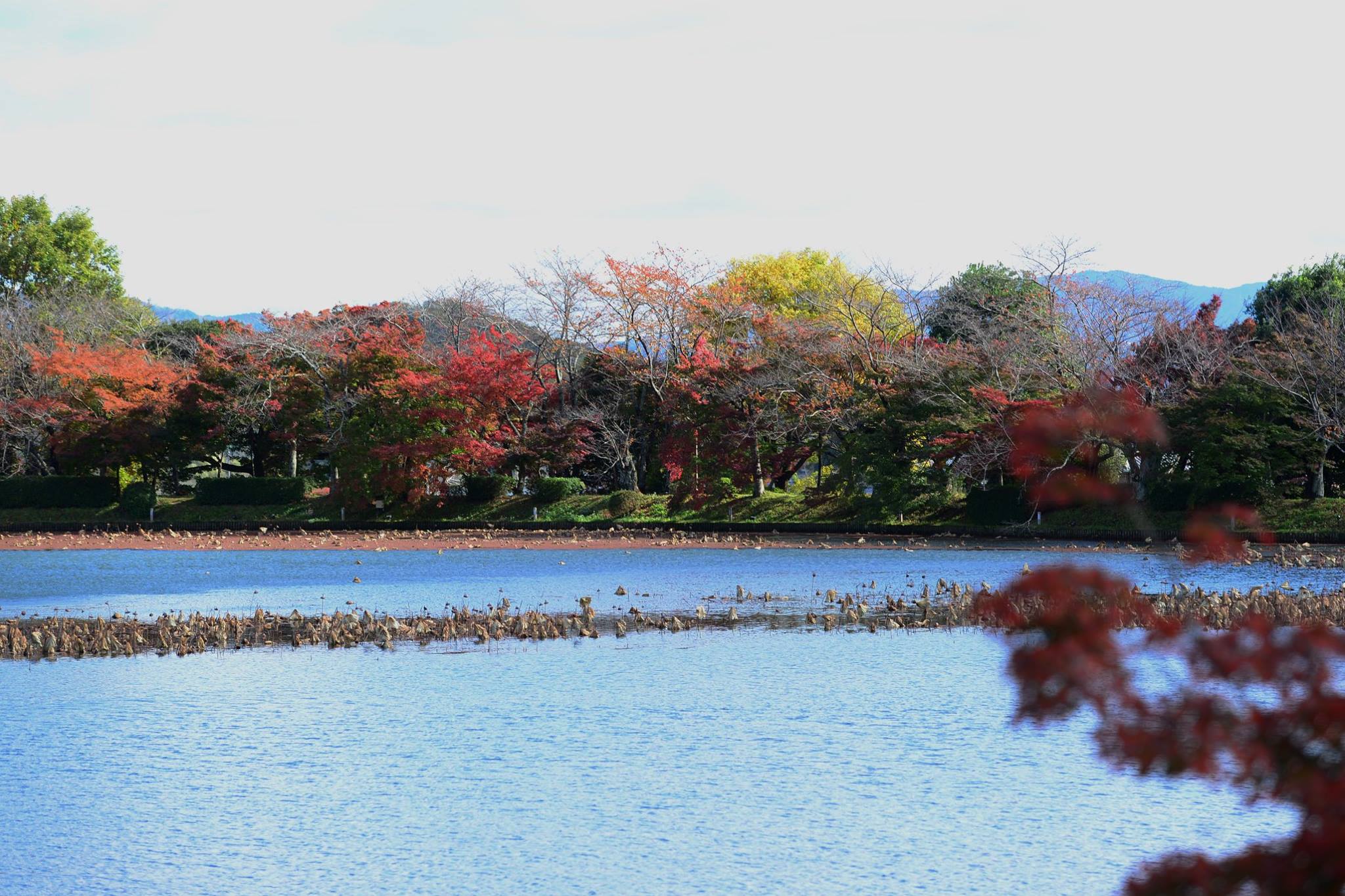 21055116_1843695342626122_3425152141548100739_o