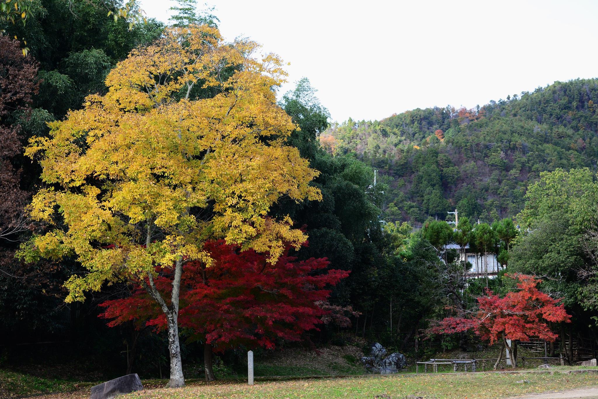 21055193_1843695705959419_3587293873124312922_o