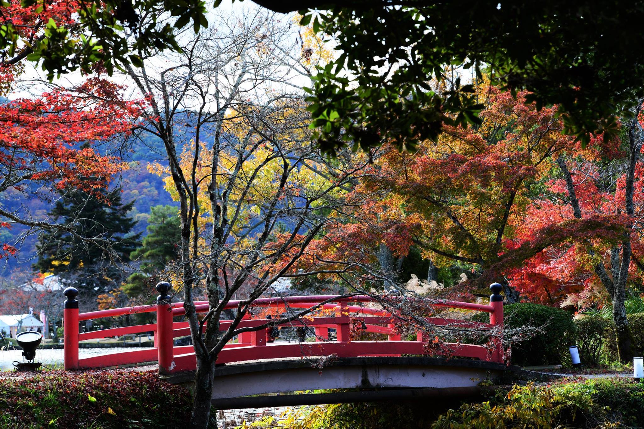 21055218_1843695619292761_1104479958691022478_o