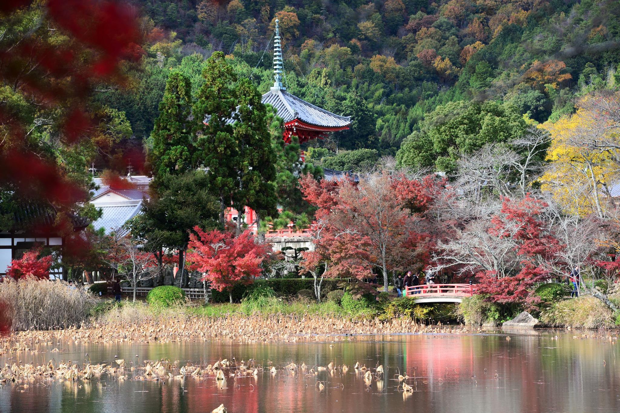 21056007_1843695945959395_8239719834732368790_o