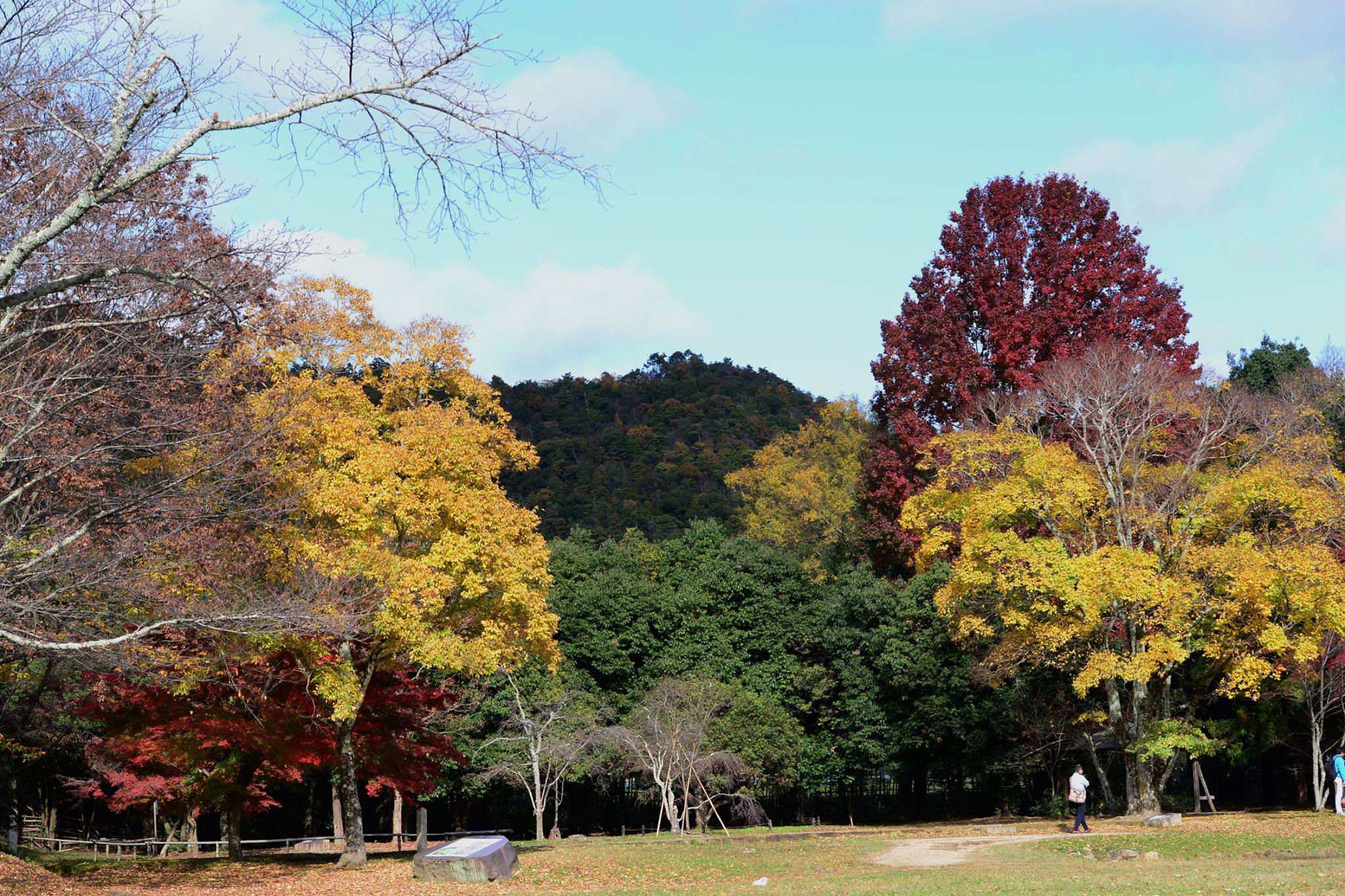 21056075_1843695645959425_4529715290404913518_o