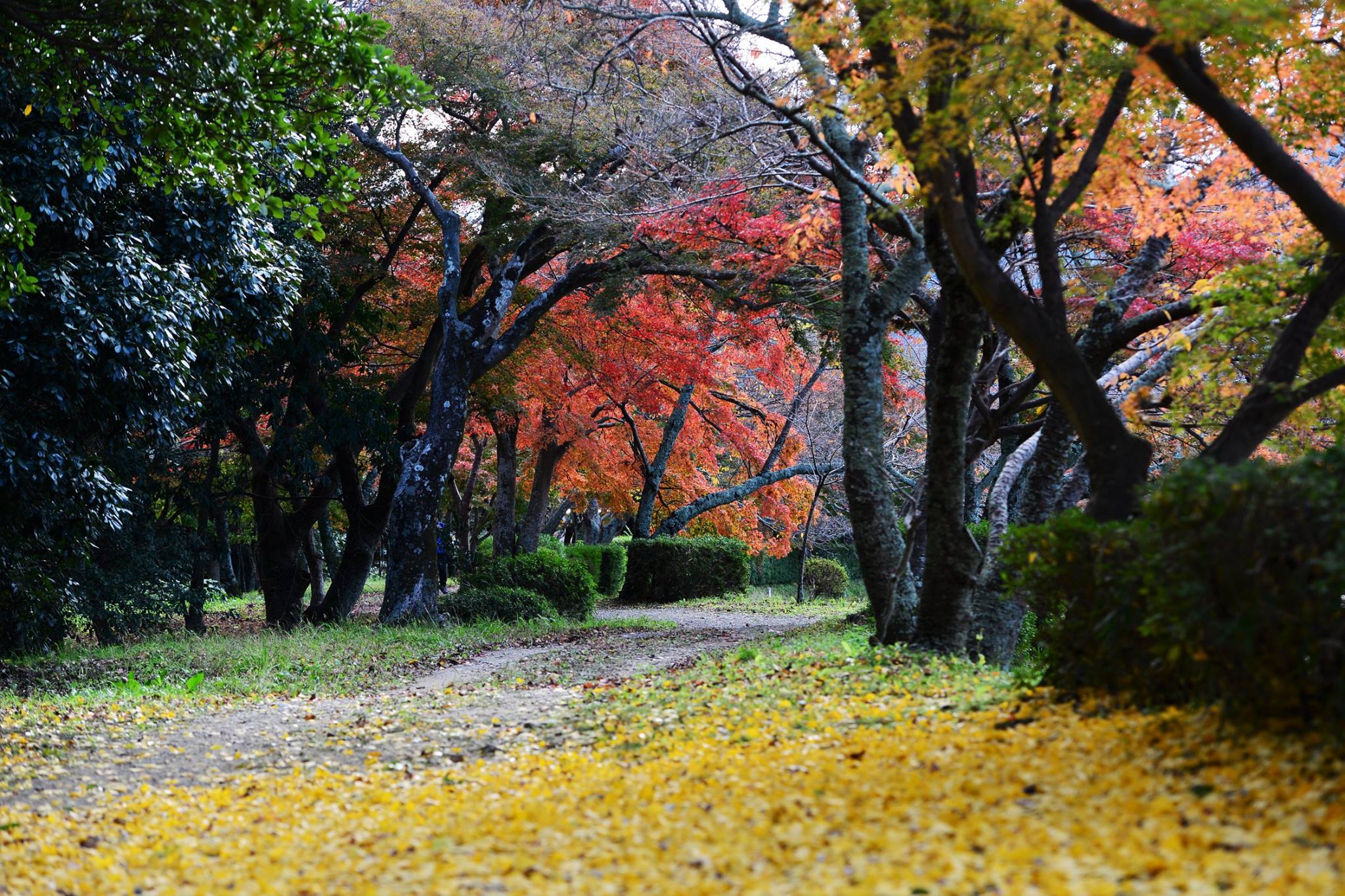 21056203_1843695739292749_3328555663550037683_o