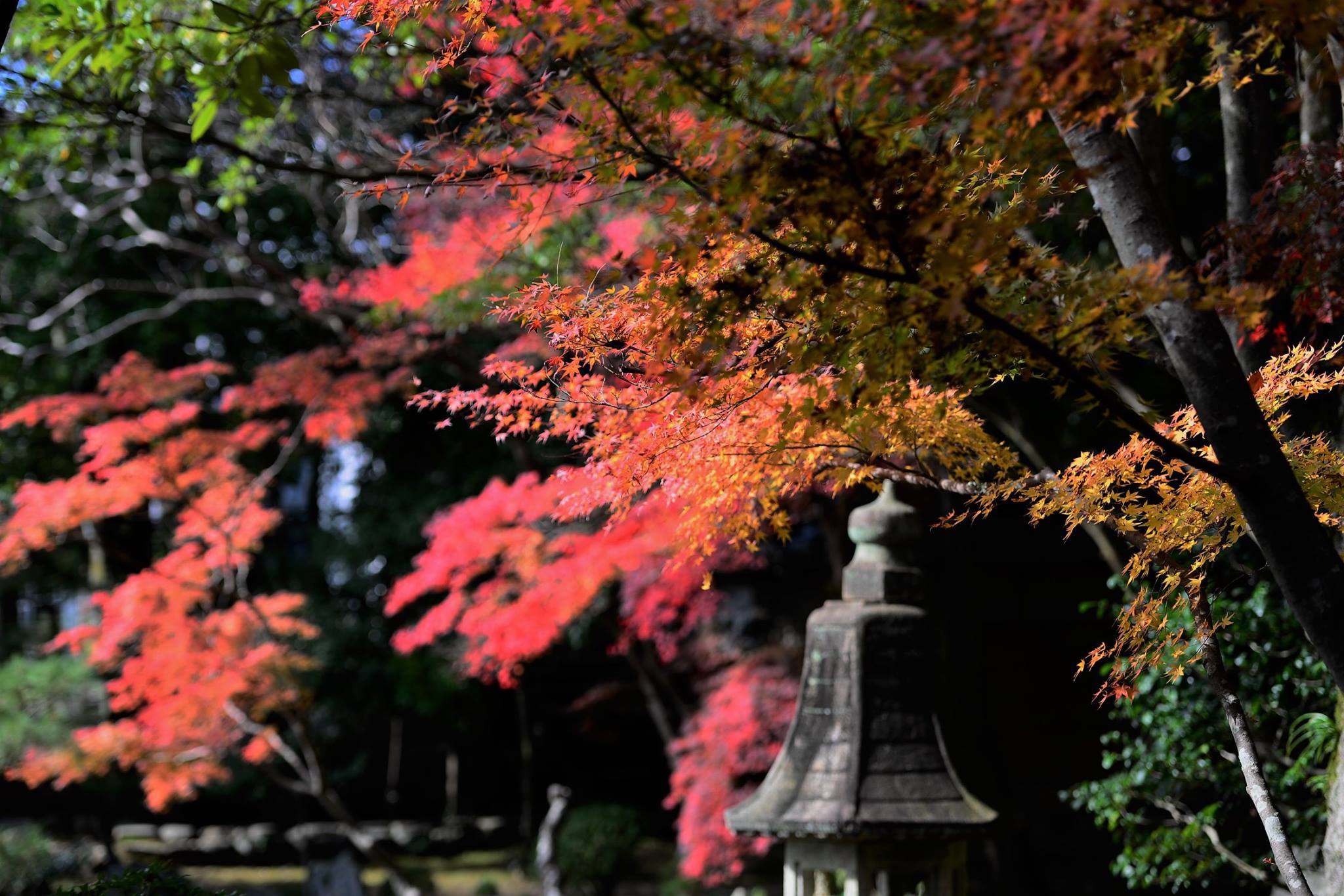 21082885_1843695482626108_5935652794998257800_o