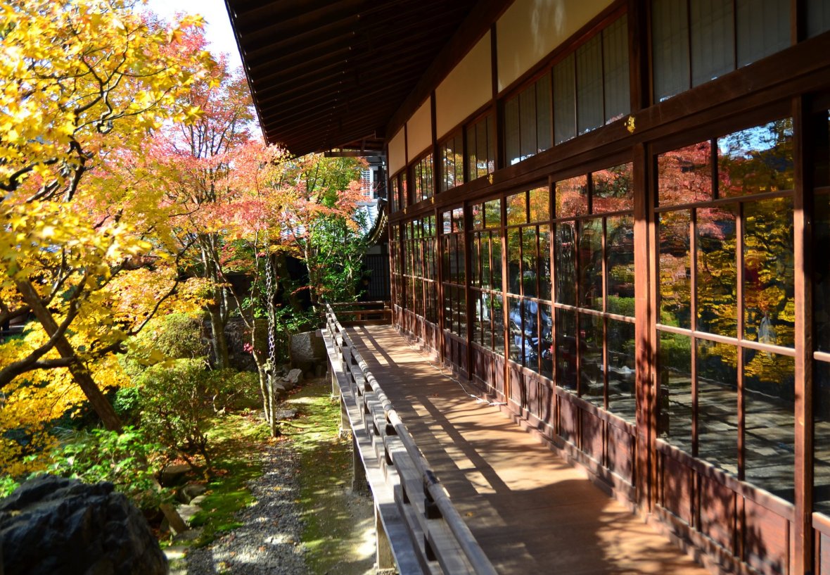 45433177_2114586388870348_541891290682359808_o