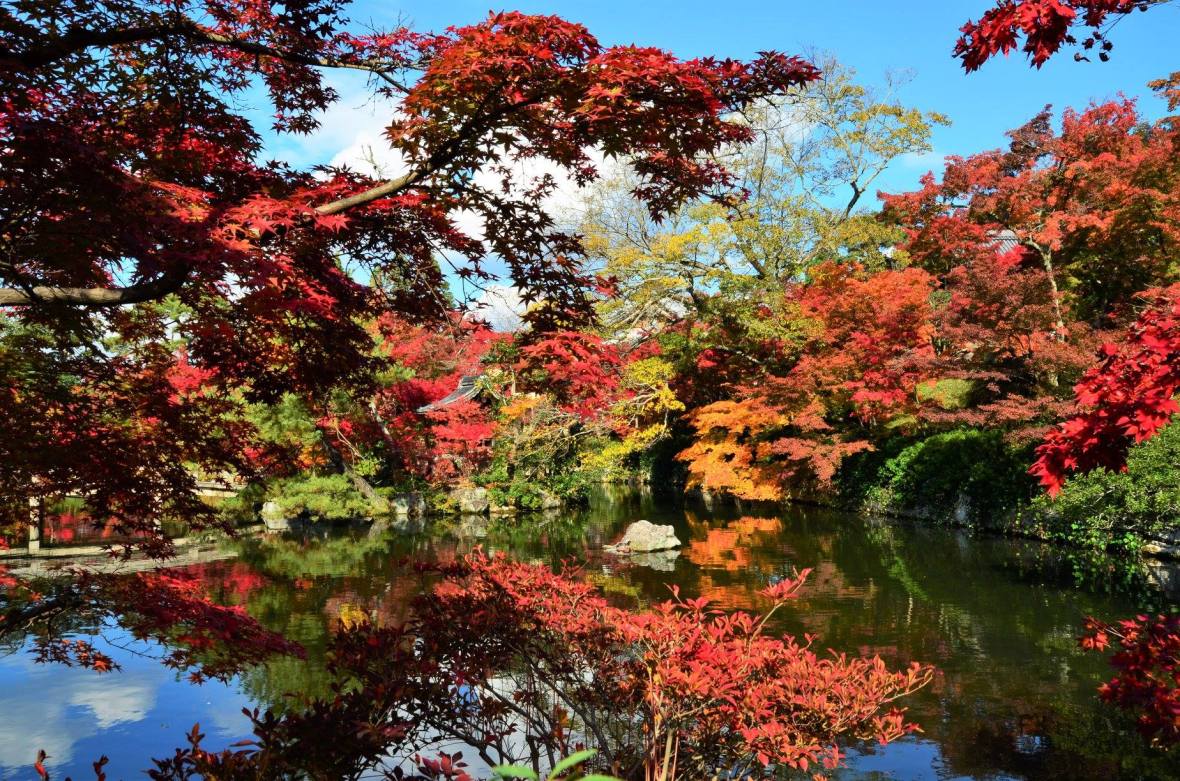 45513733_2114586488870338_4214748022854123520_o