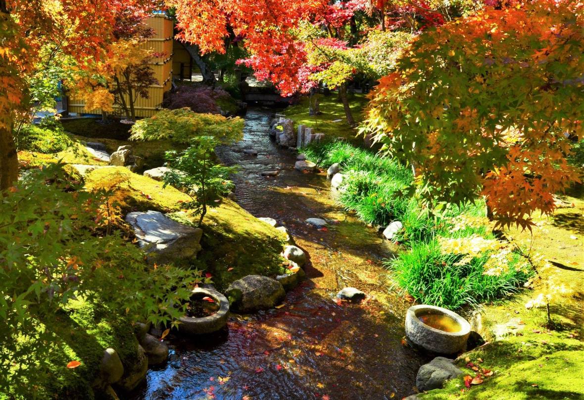 45562621_2114586635536990_8288074386242535424_o