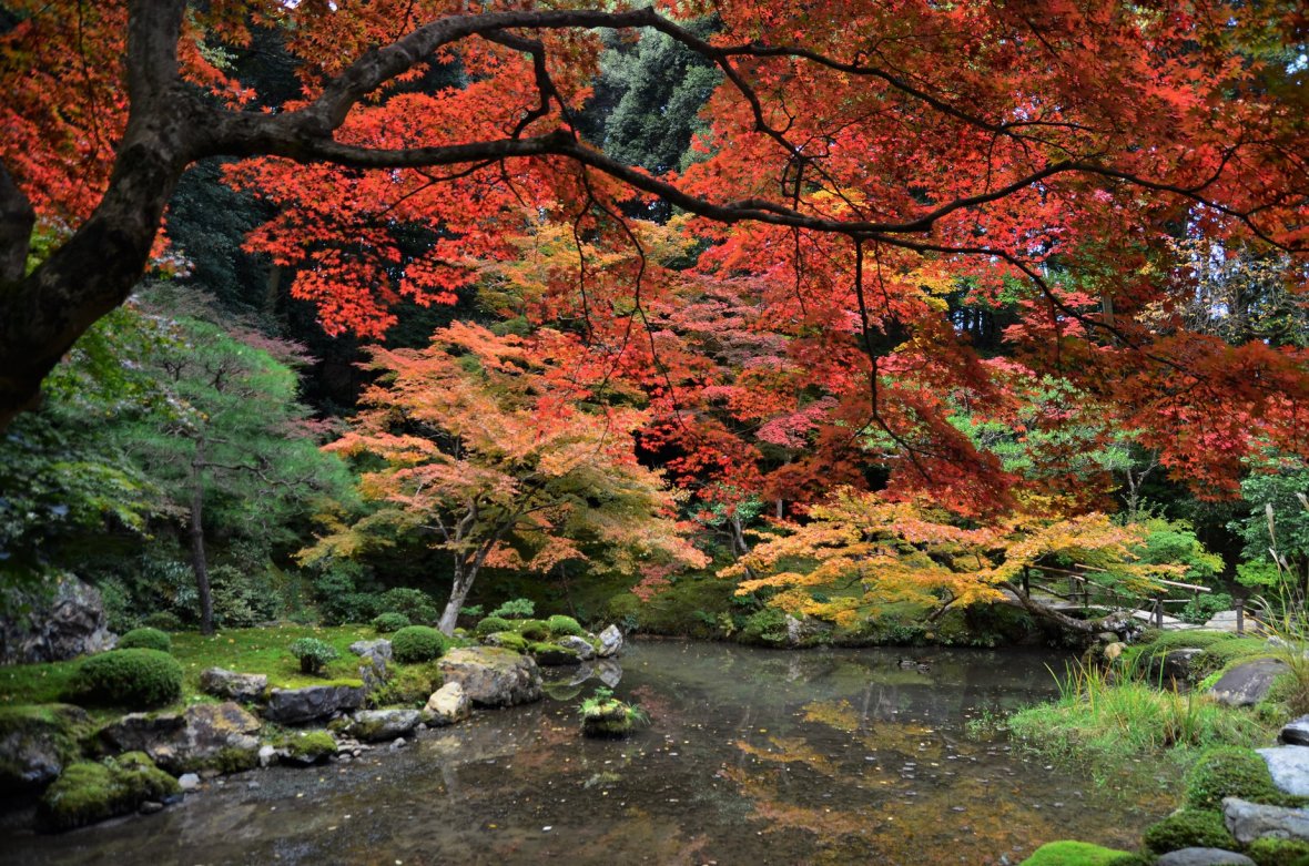 45612448_2114586318870355_1811835643194507264_o