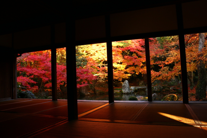 588--da206d9bb87282ad30230a8b716180c8