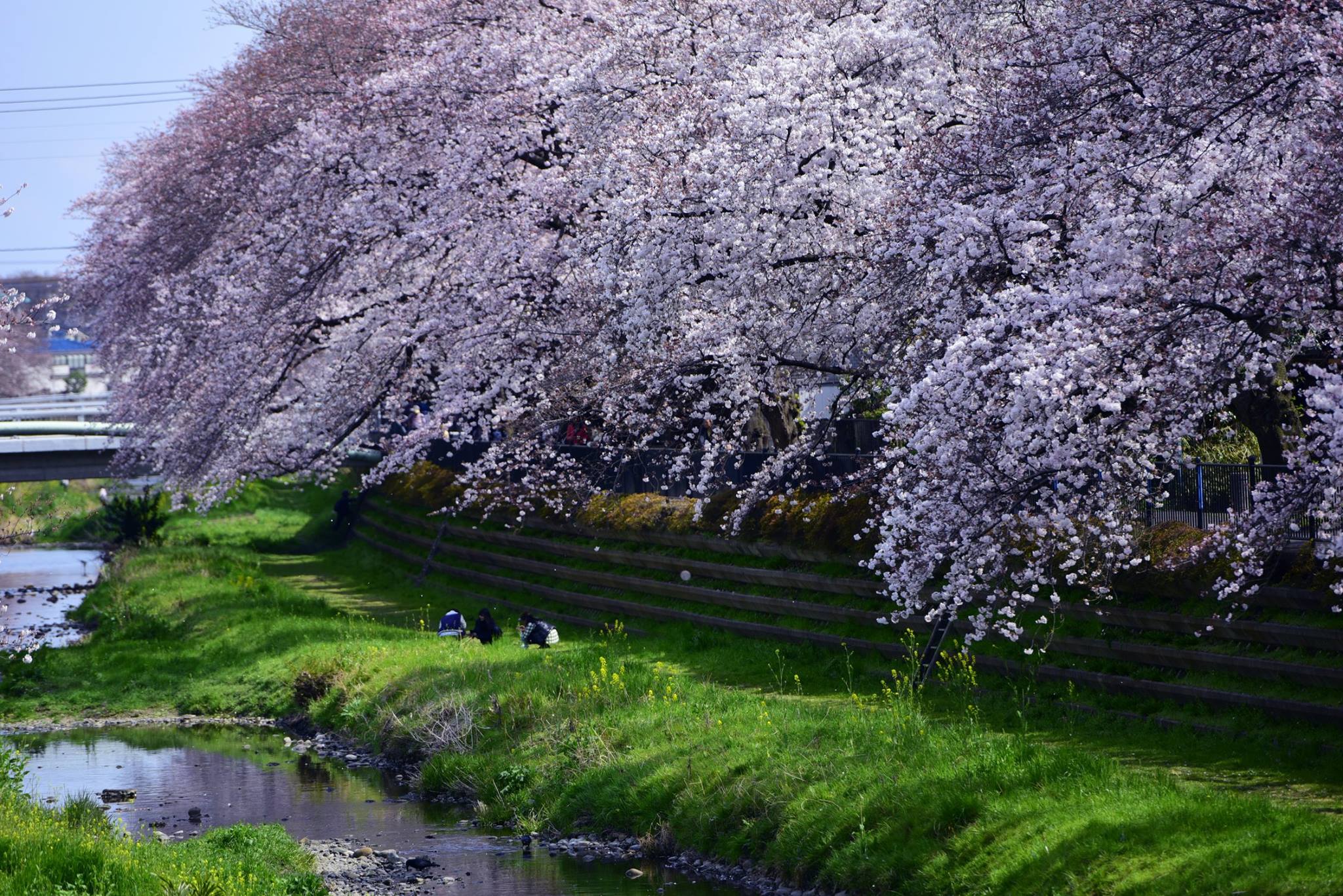 21273101_1849312118731111_7795938620220697453_o