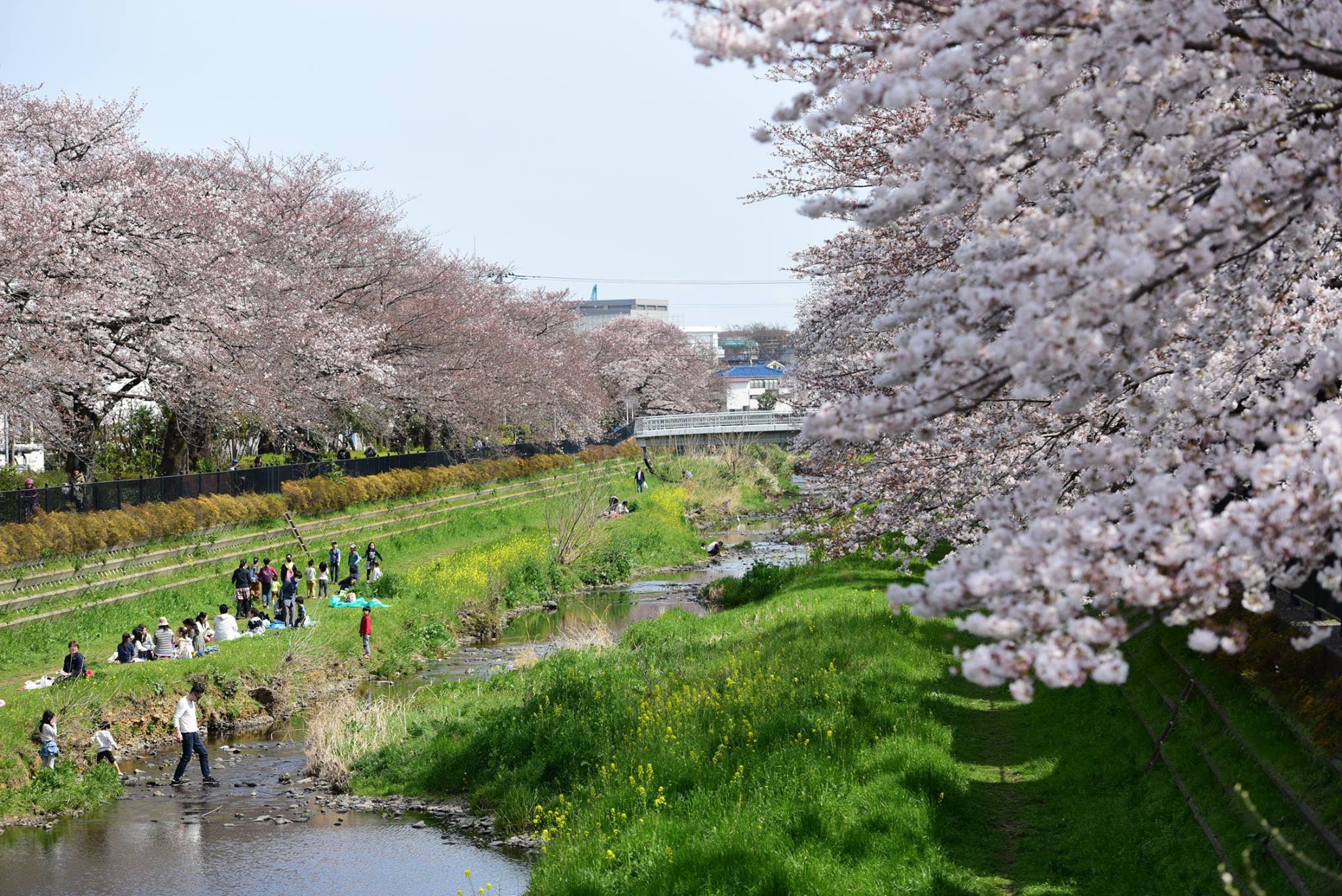 21273313_1849312255397764_3661185256287461138_o