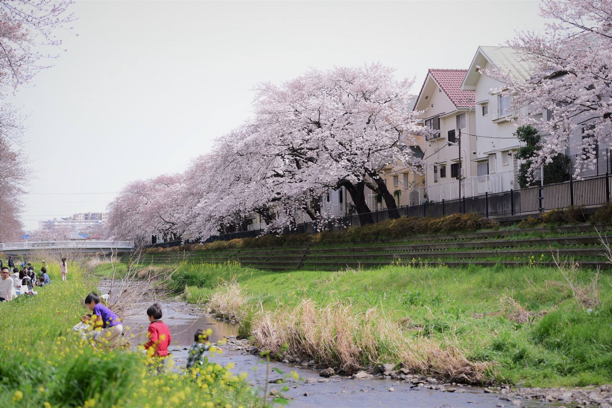 21273424_1849312415397748_1428589285185993066_o