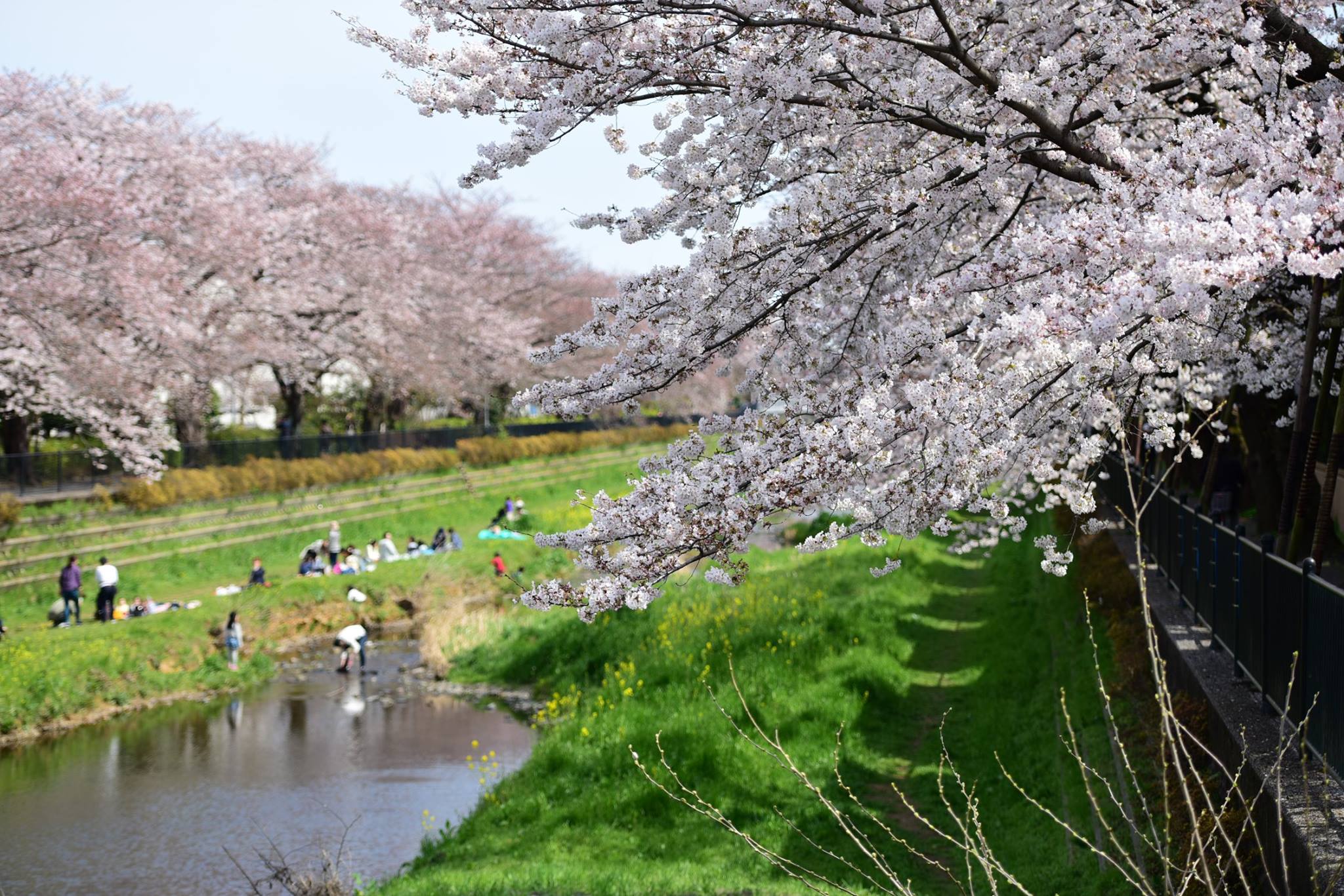 21273609_1849312345397755_1962443203383436707_o