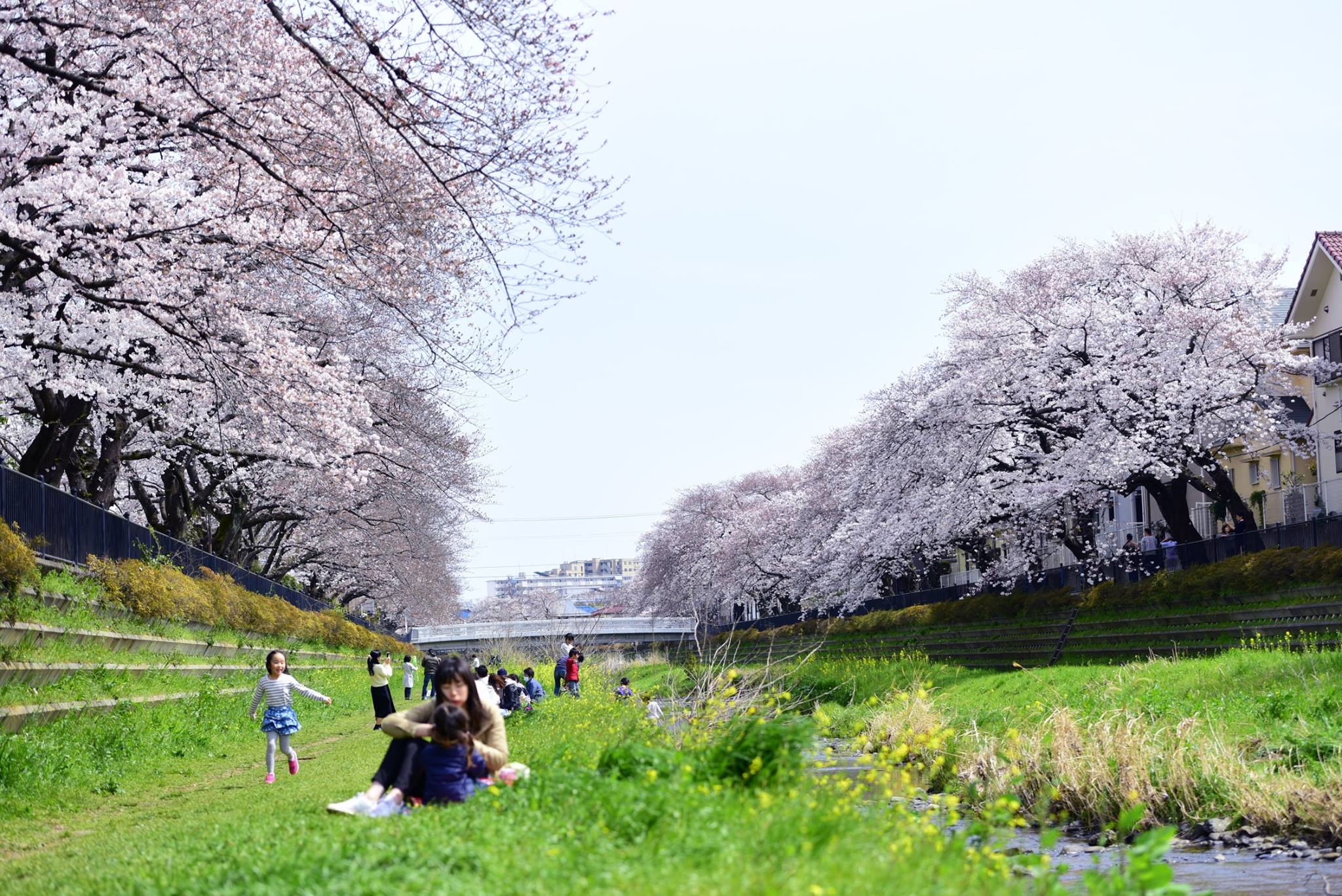 21273678_1849312138731109_4865031966834031217_o