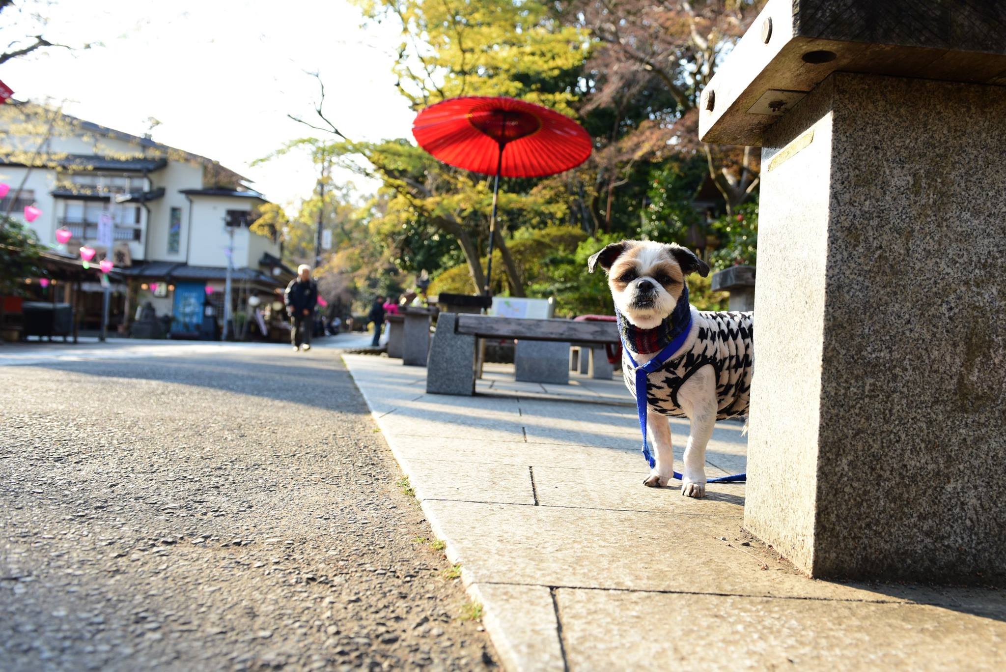 21273724_1849312835397706_5804534915450658067_o