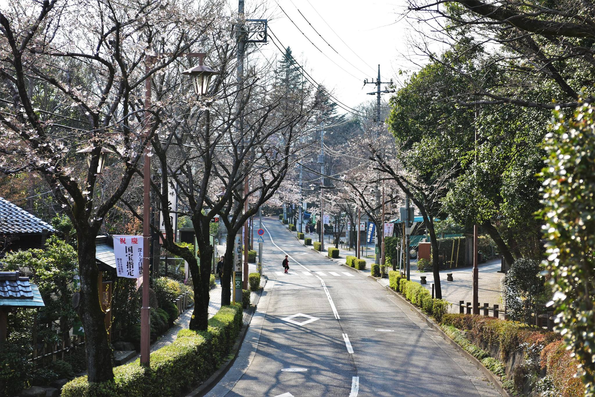 21273746_1849312982064358_5262777603823949583_o