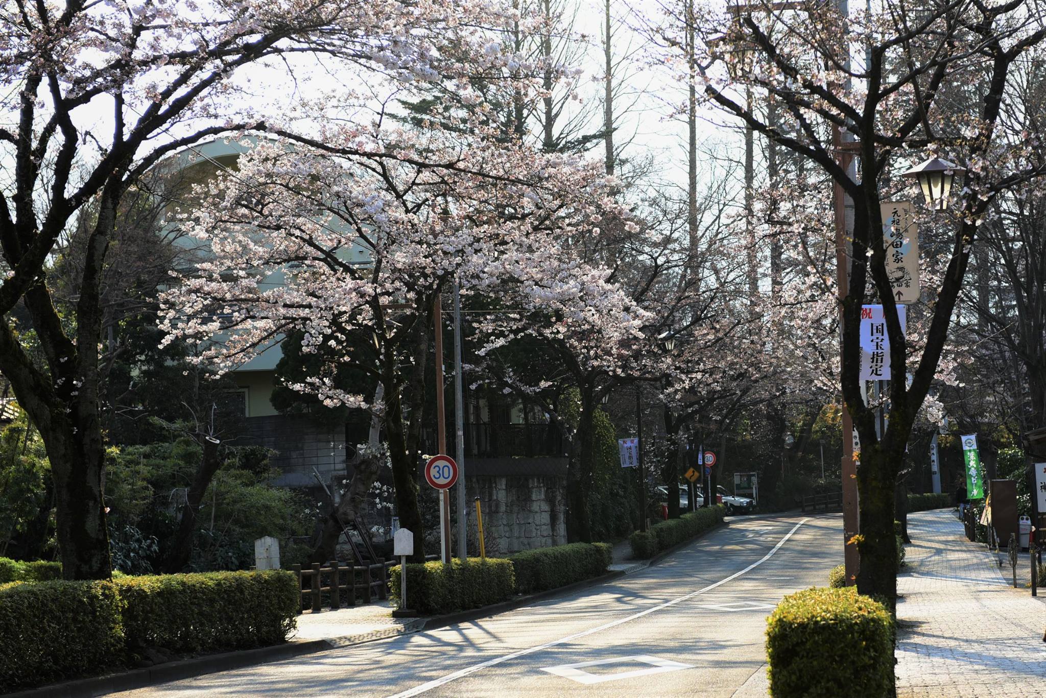 21316448_1849312862064370_1775023534684732380_o