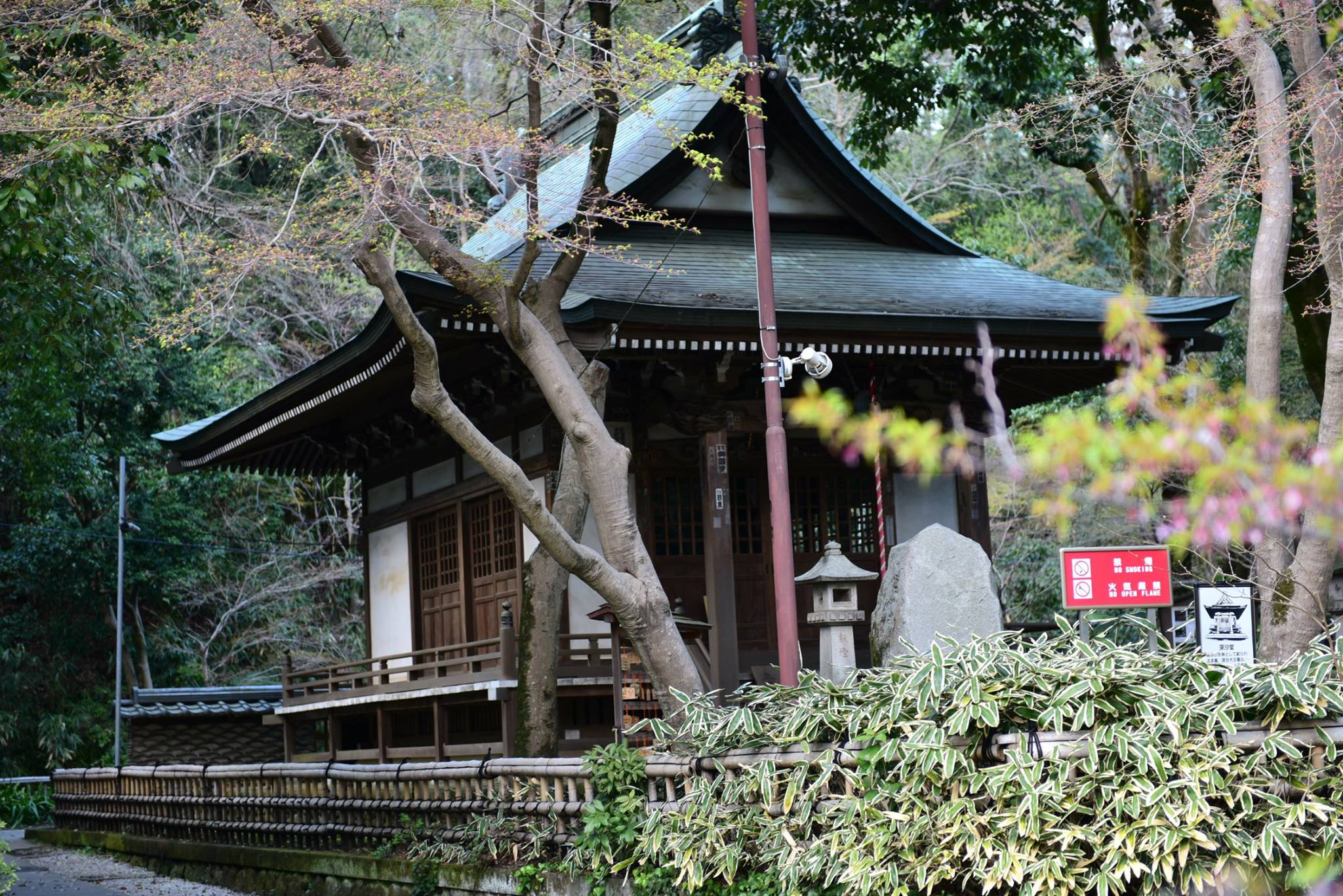 21316462_1849312758731047_7192919341640746559_o