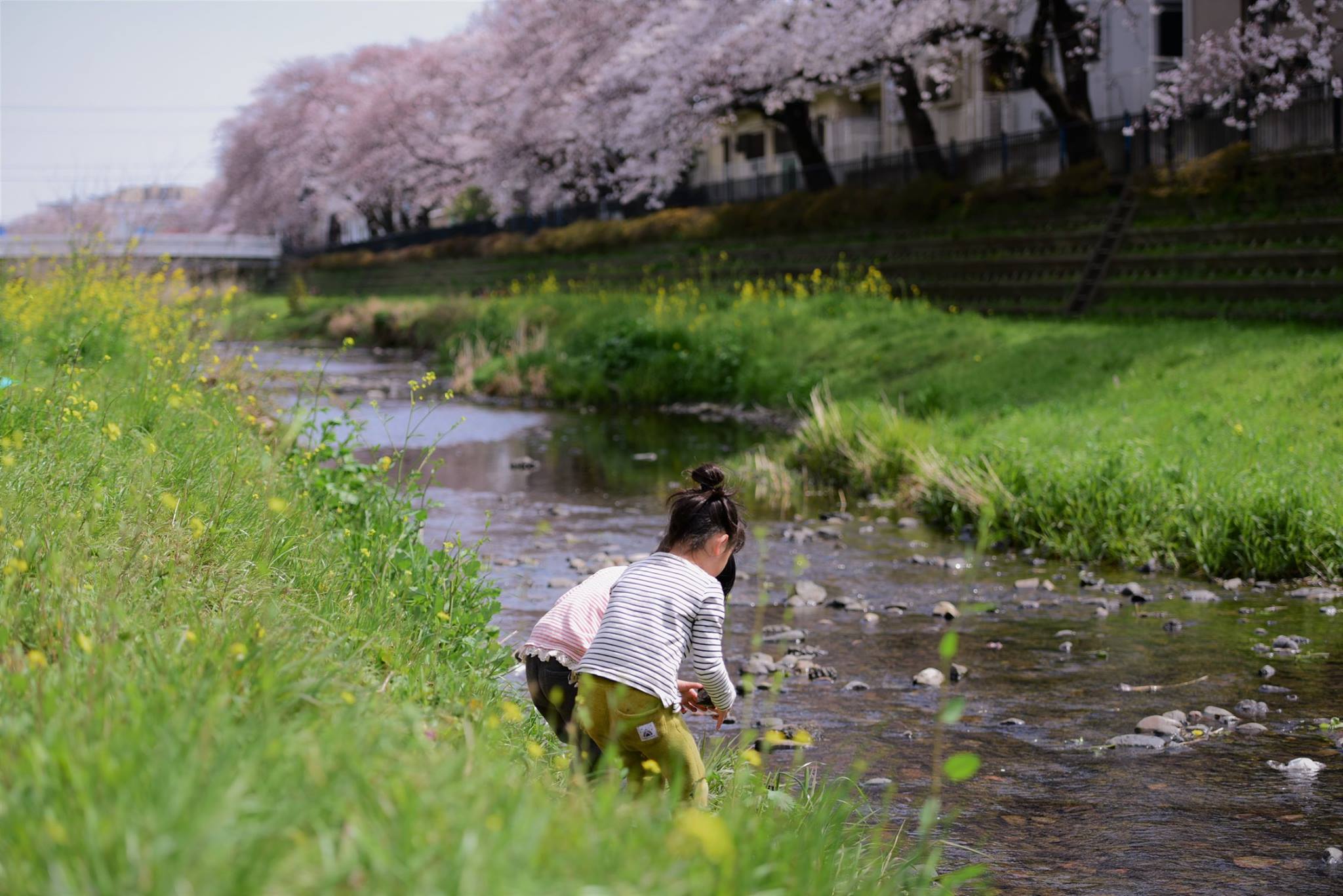 21366628_1849312578731065_8665381179587059838_o