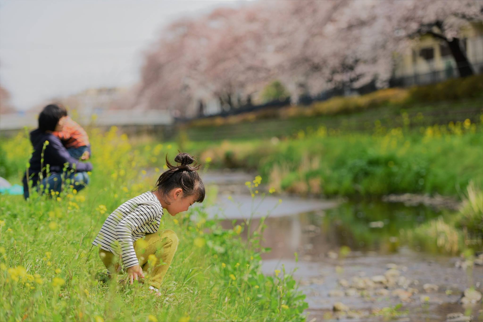 21366903_1849312528731070_34914761280778826_o